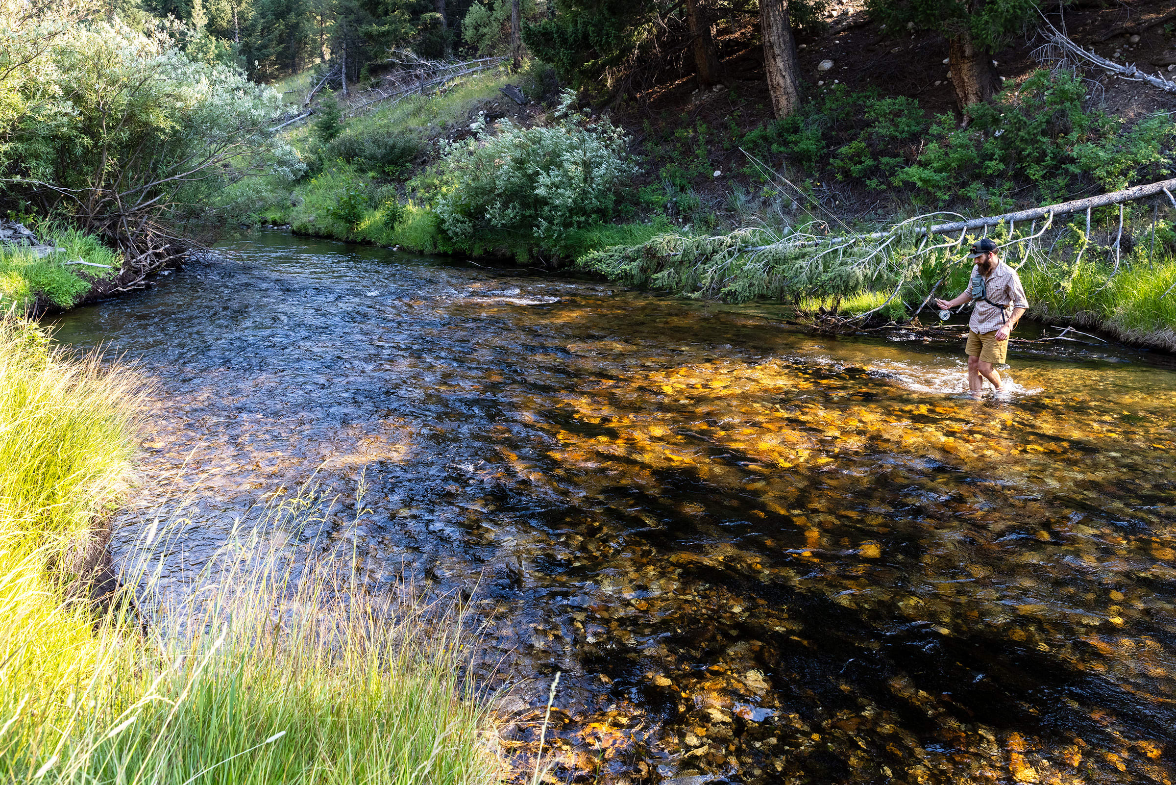 Racetrack Creek Racetrack Creek