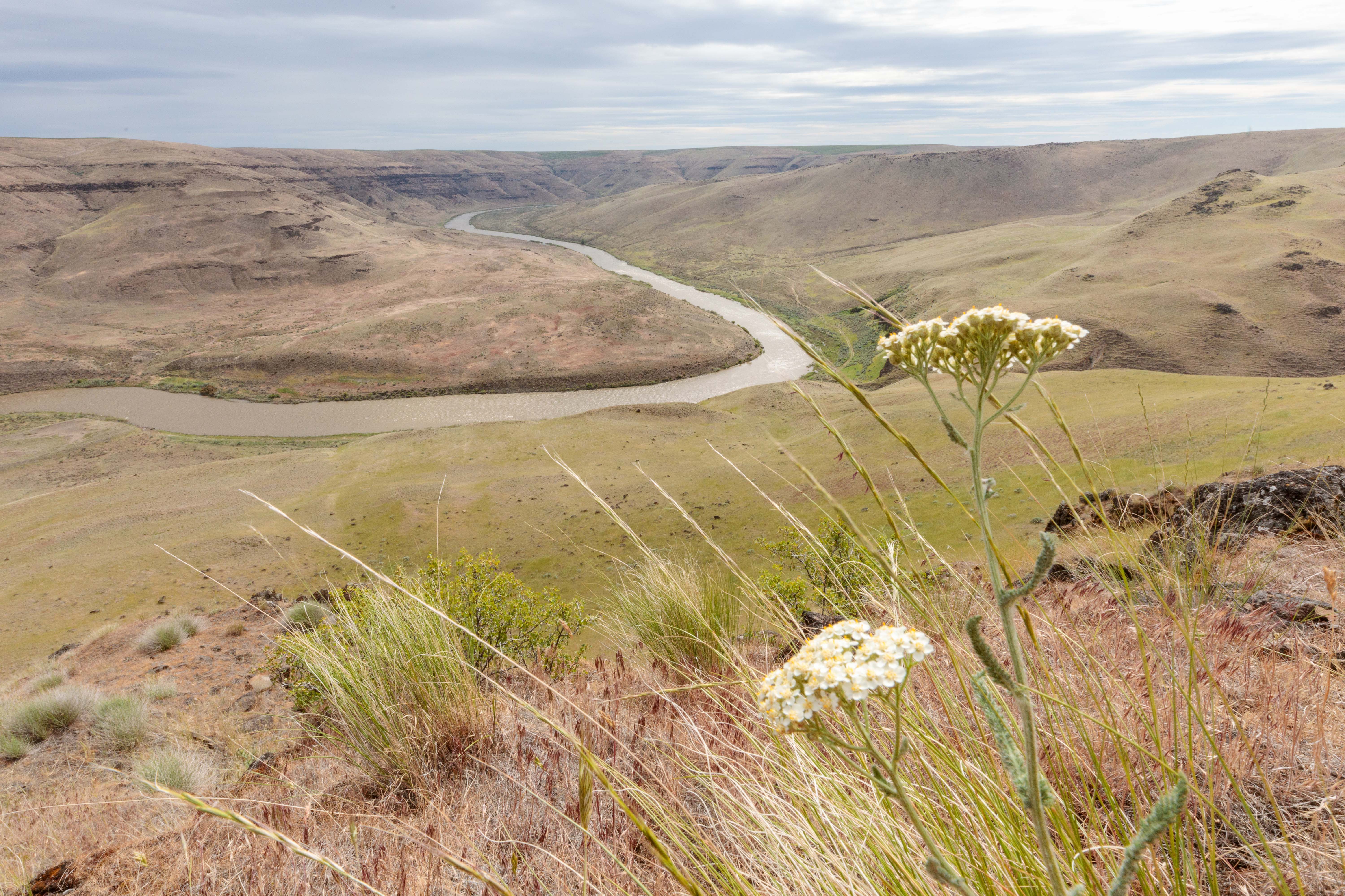 McDonald's Ferry Ranch along Oregon's John Day River.