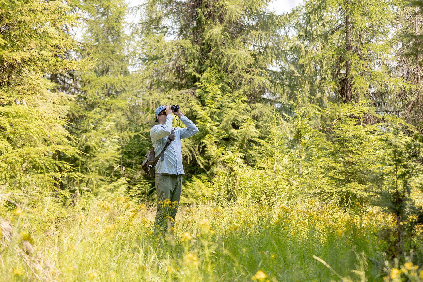 Saint Joe River, Idaho