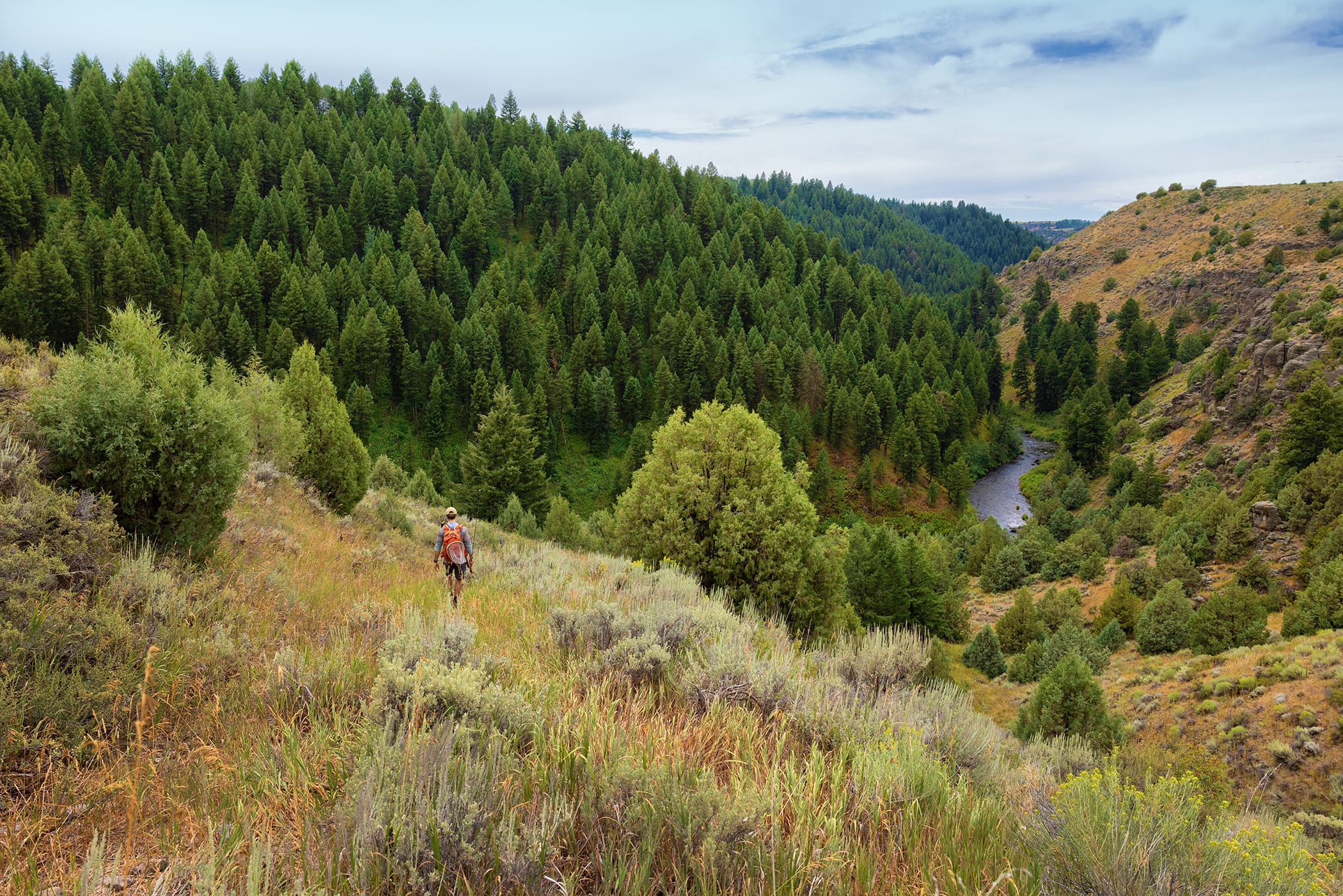 Badger Creek Canyon Ranch