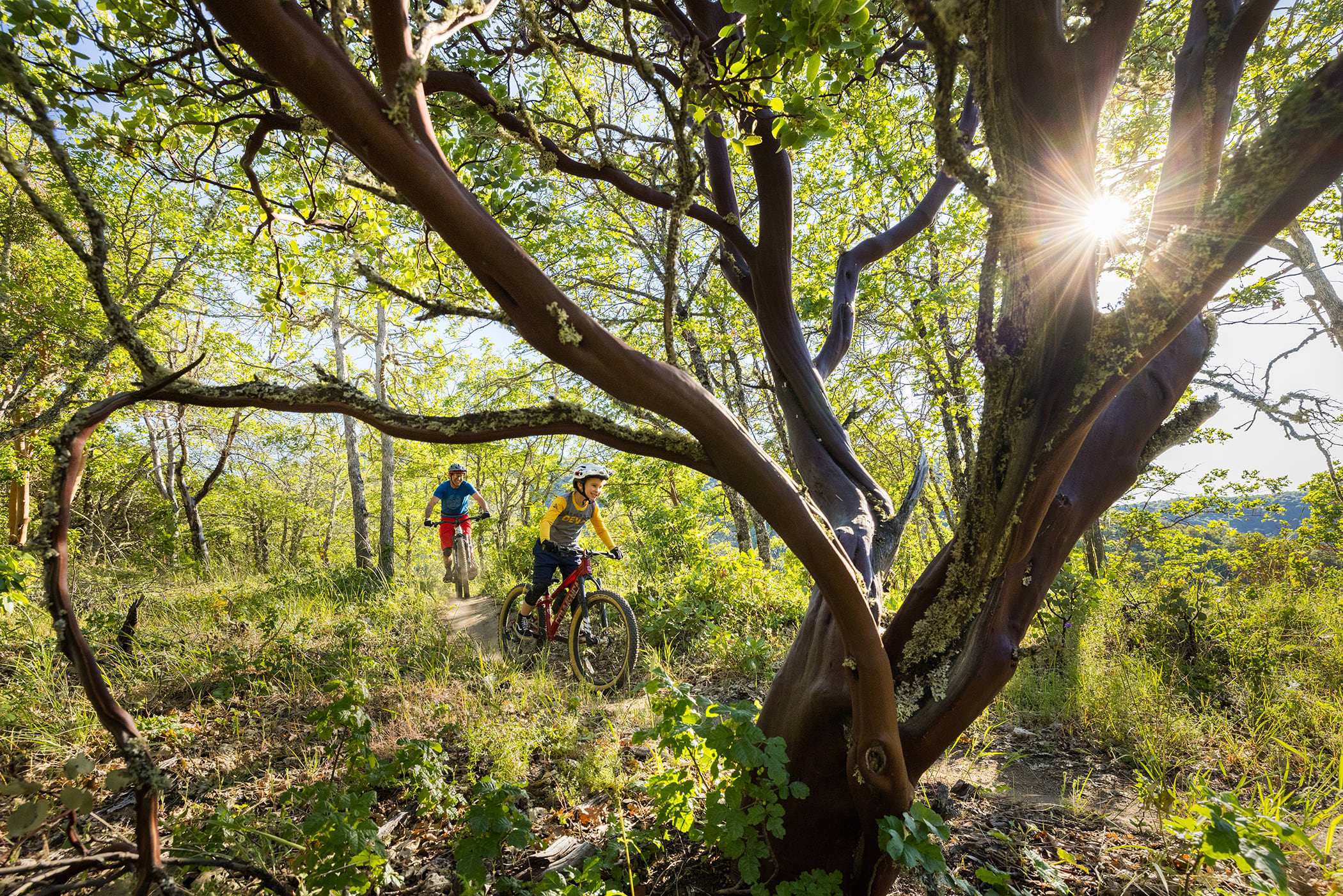 Wrights Creek, Madrone Ridge, Oregon