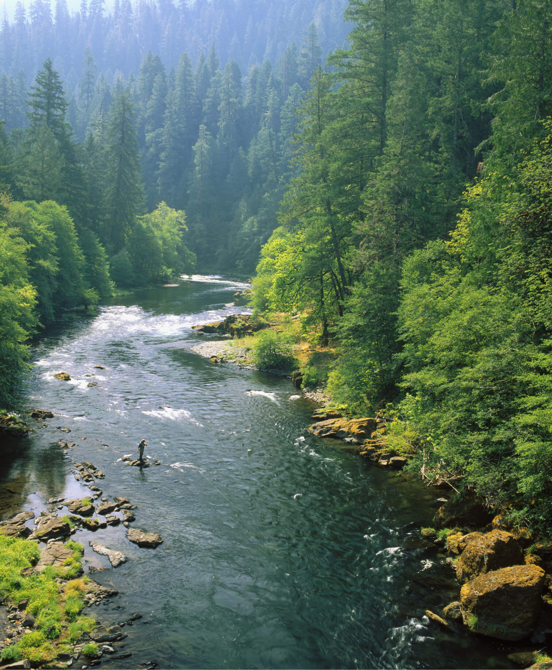 umpqua