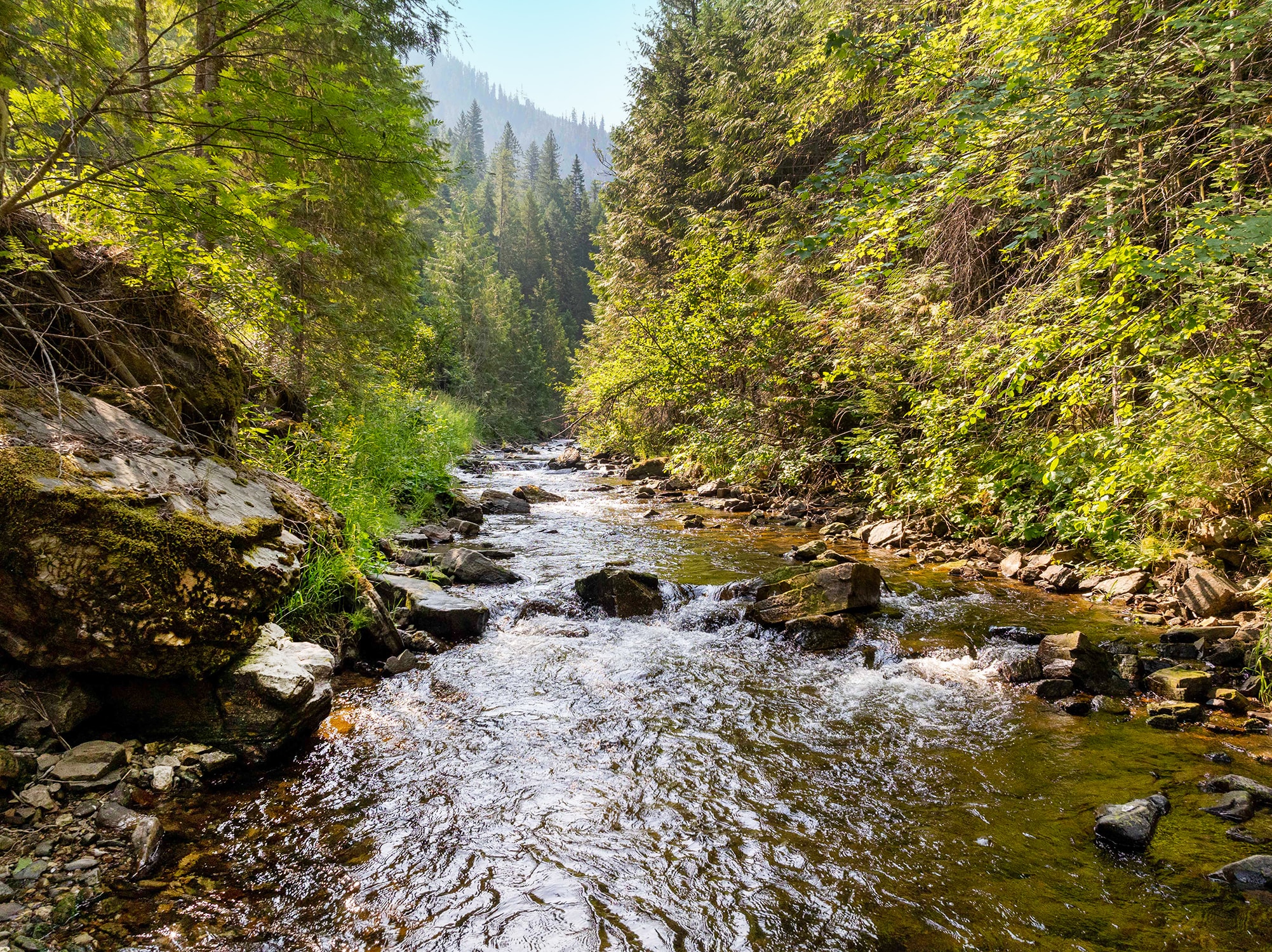 Fishhook Creek, Idaho