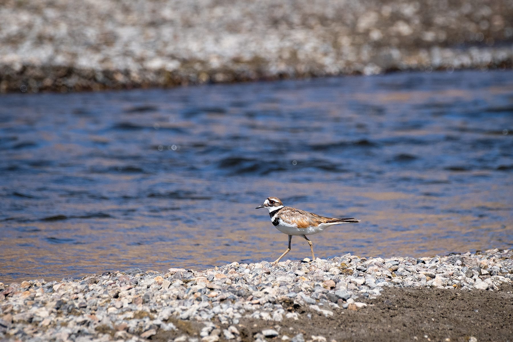 Carson River, NV