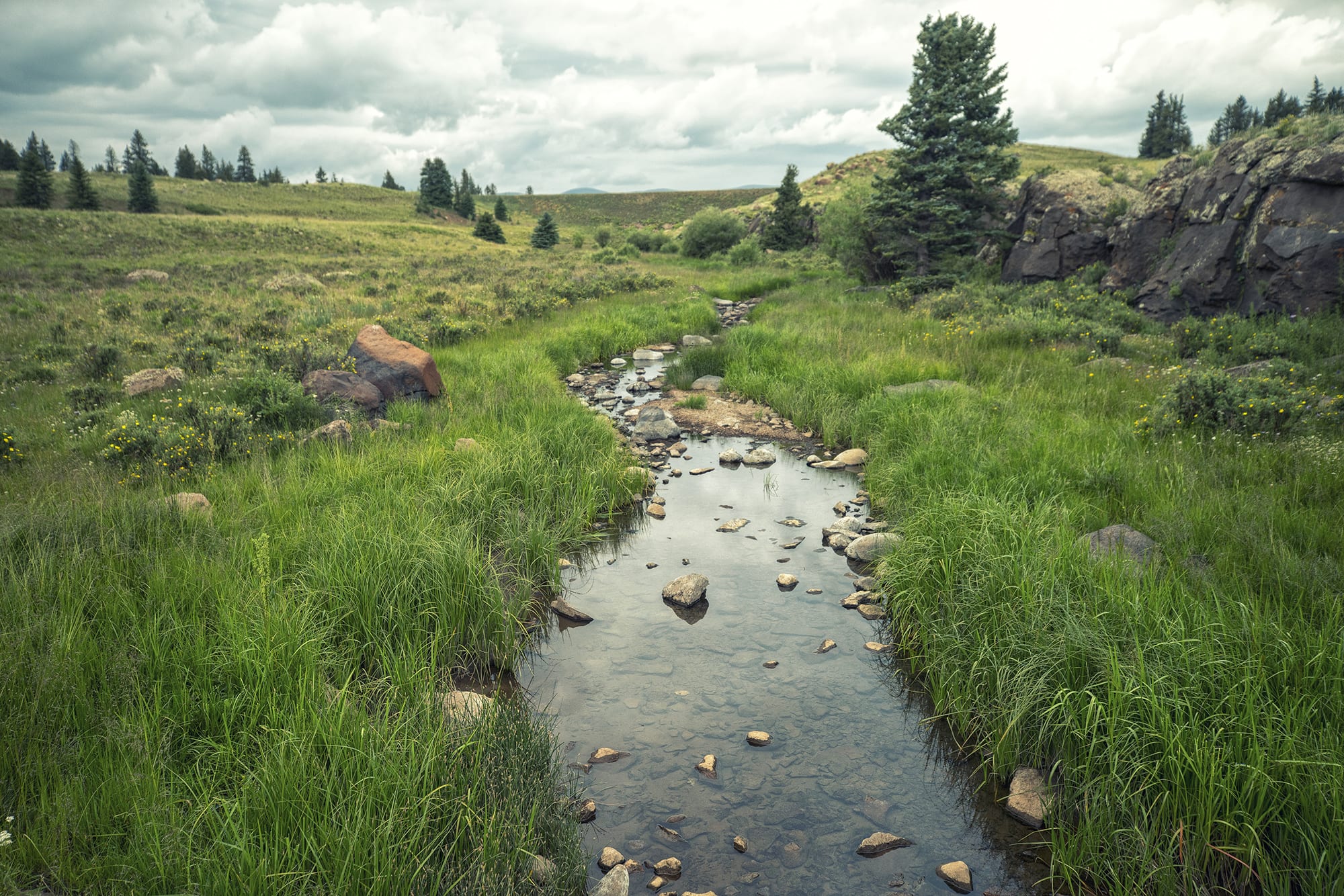 La Jara Basin Western Rivers Conservancy