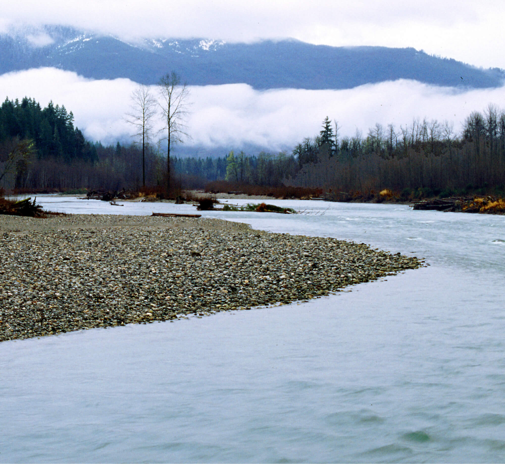 Sauk and Suiattle rivers