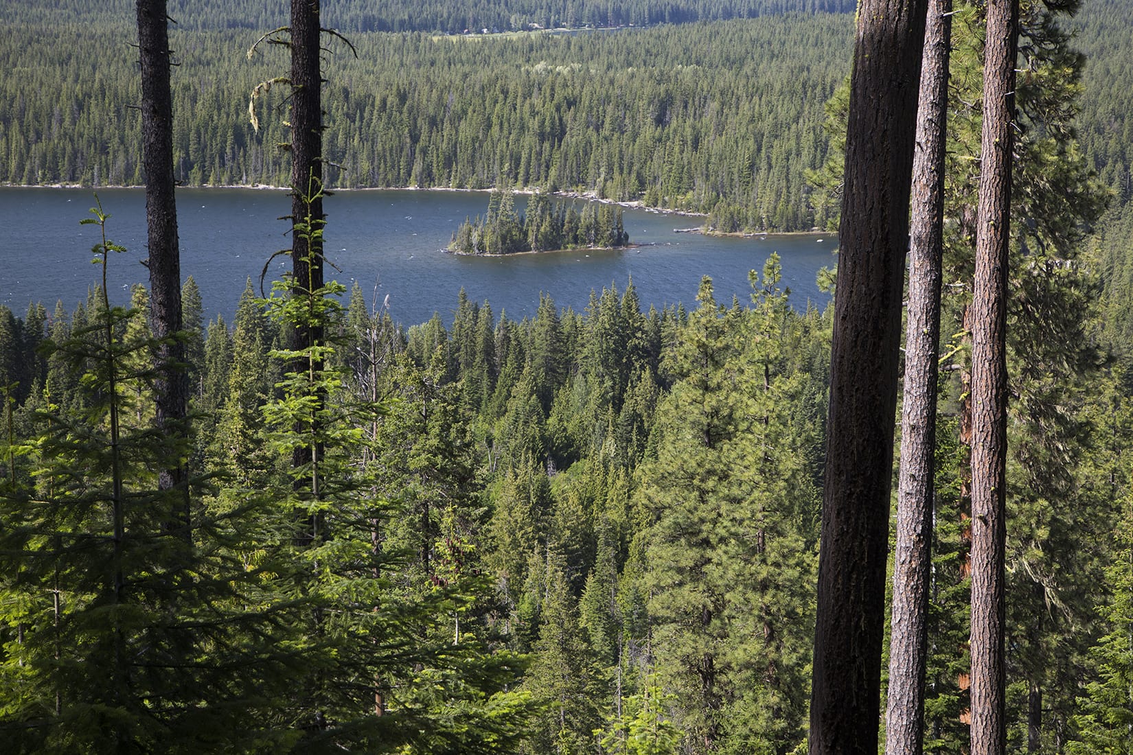 Overlooking Lake Wenatchee from property.