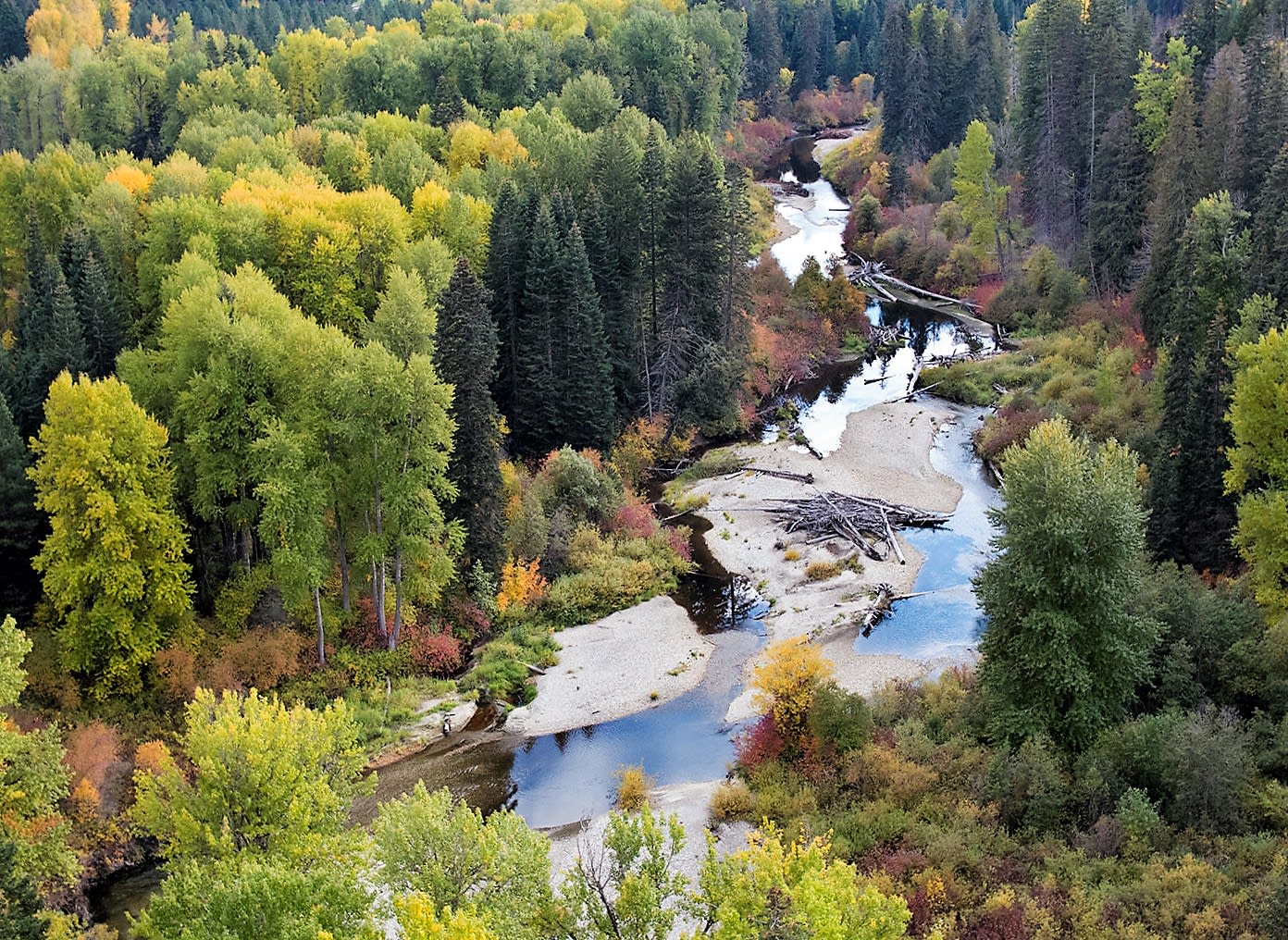 Nason Creek near Lake Wenatchee.