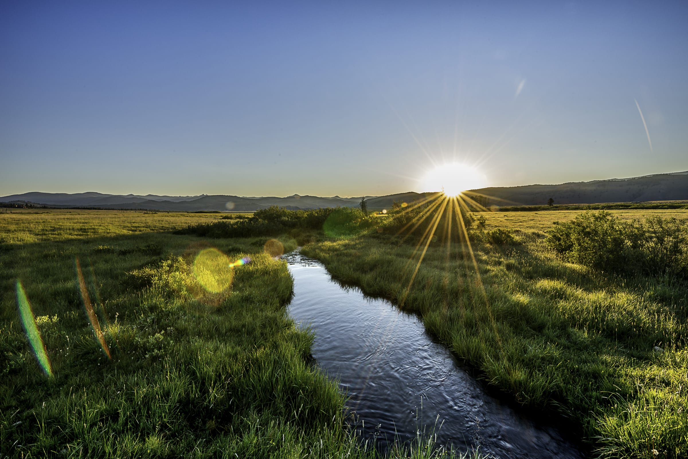 Salmon restoration in Idaho's Sawtooth Valley.