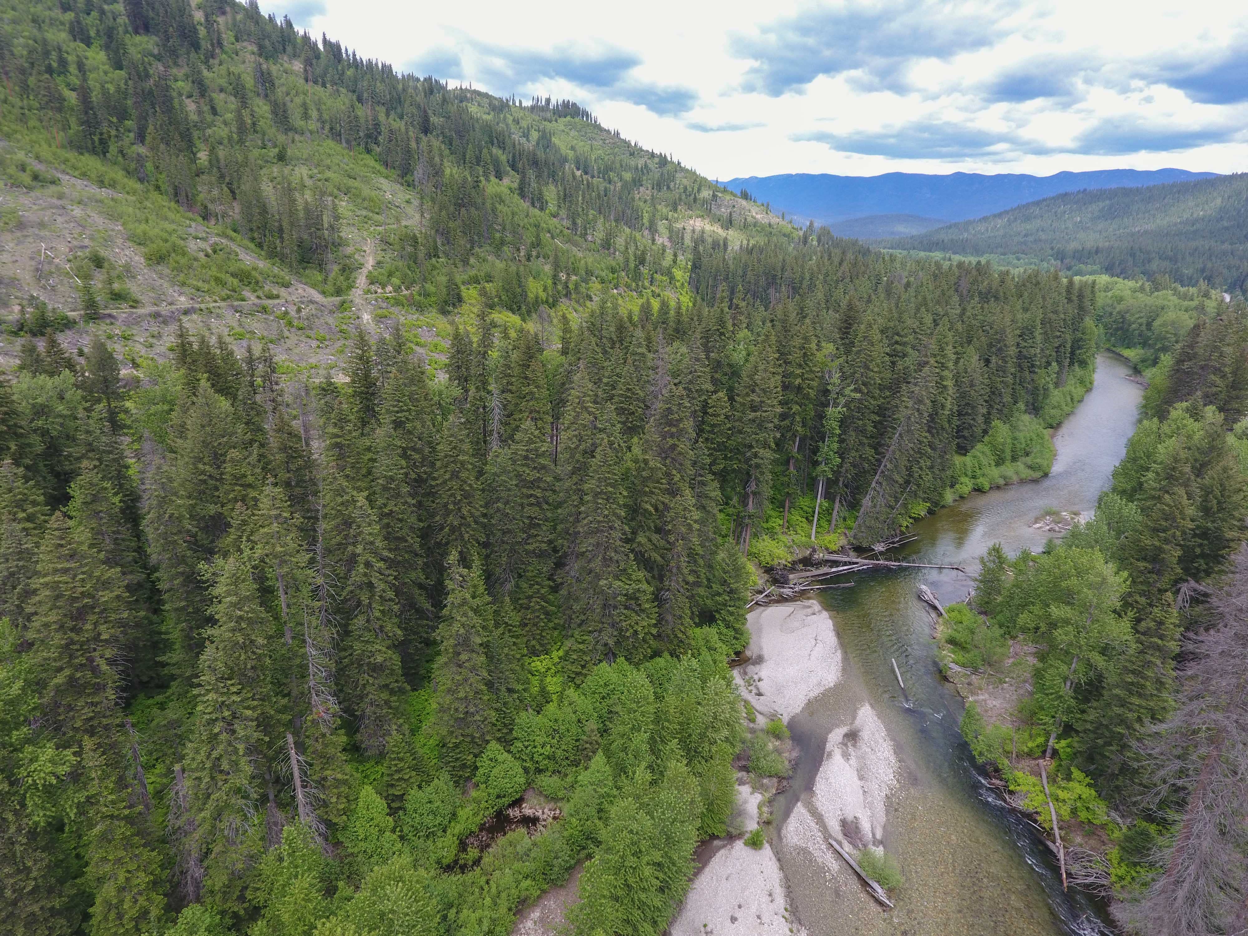 Nason Creek, Washington