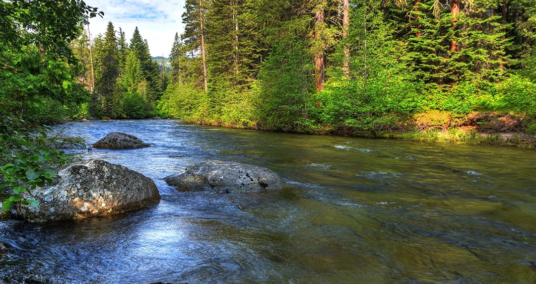 Nason Creek, Washington