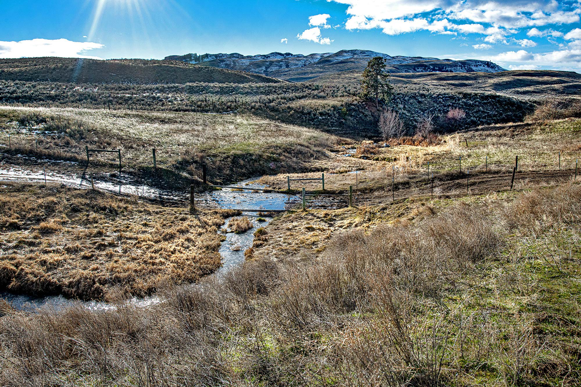 Antoine Creek, Washington