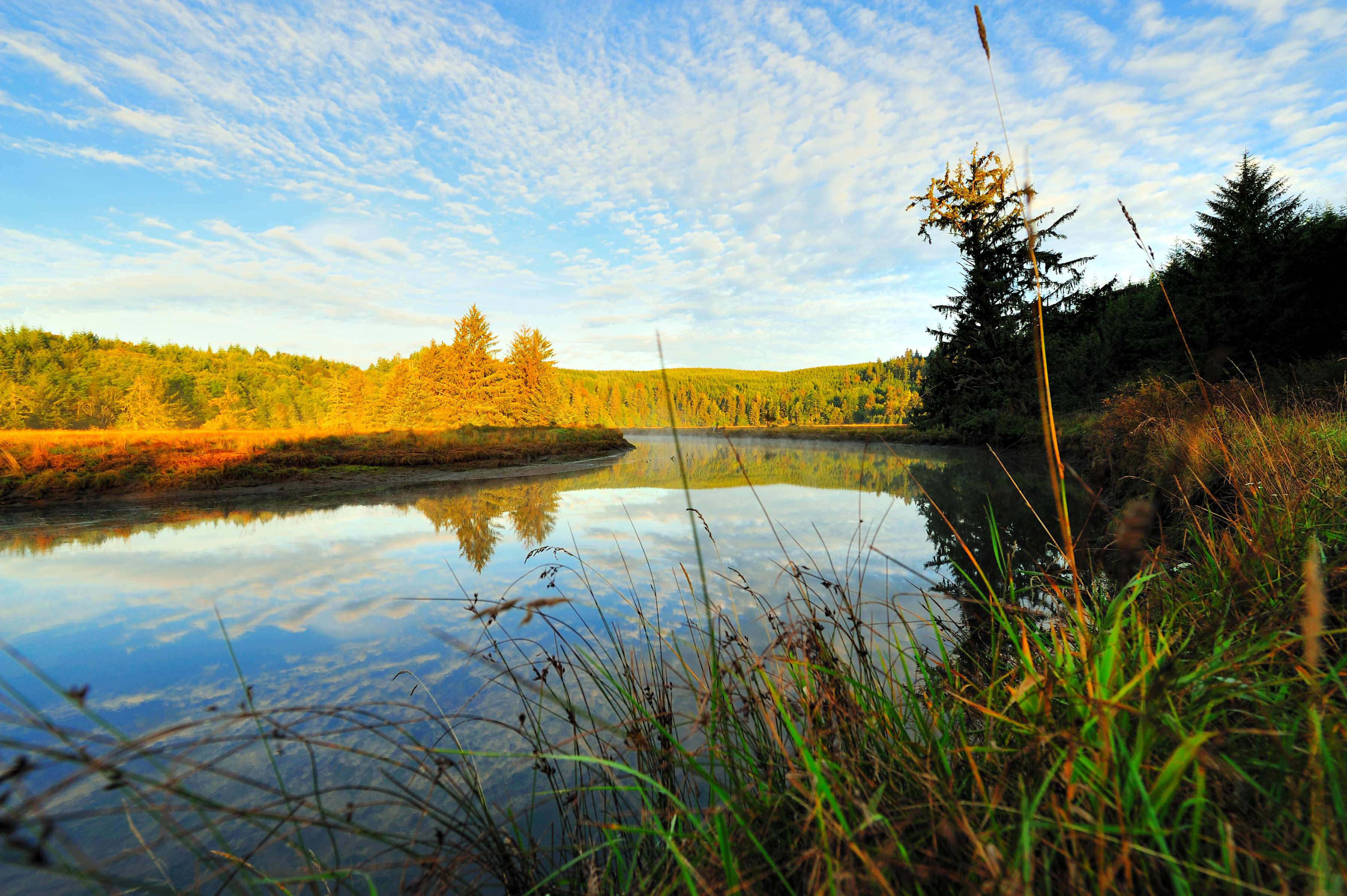 Alsea River Western Rivers Conservancy