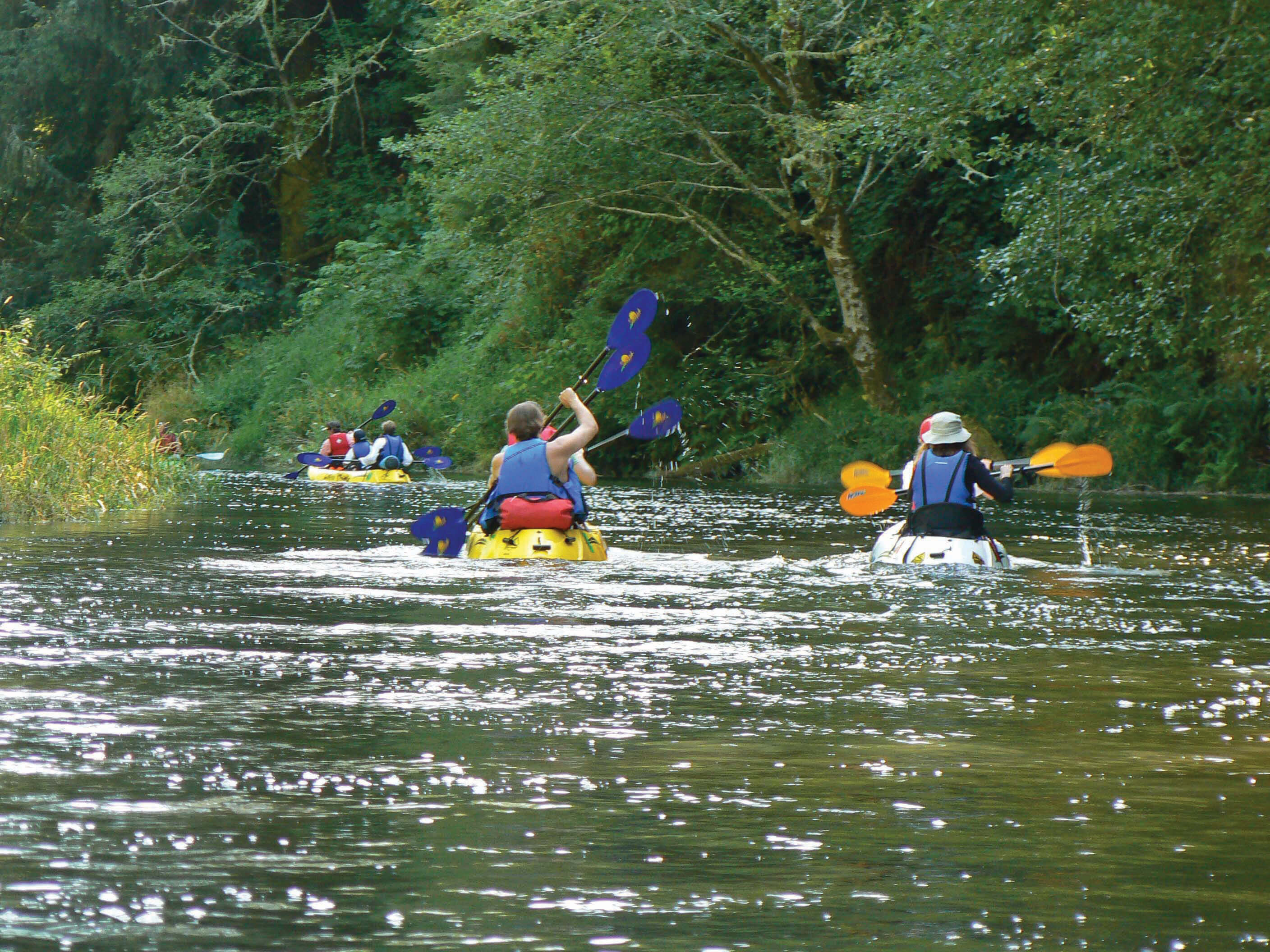 In addition to conserving salmon and steelhead habitat, WRC's acquisitions on Drift Creek and the Alsea River improved access for boaters.