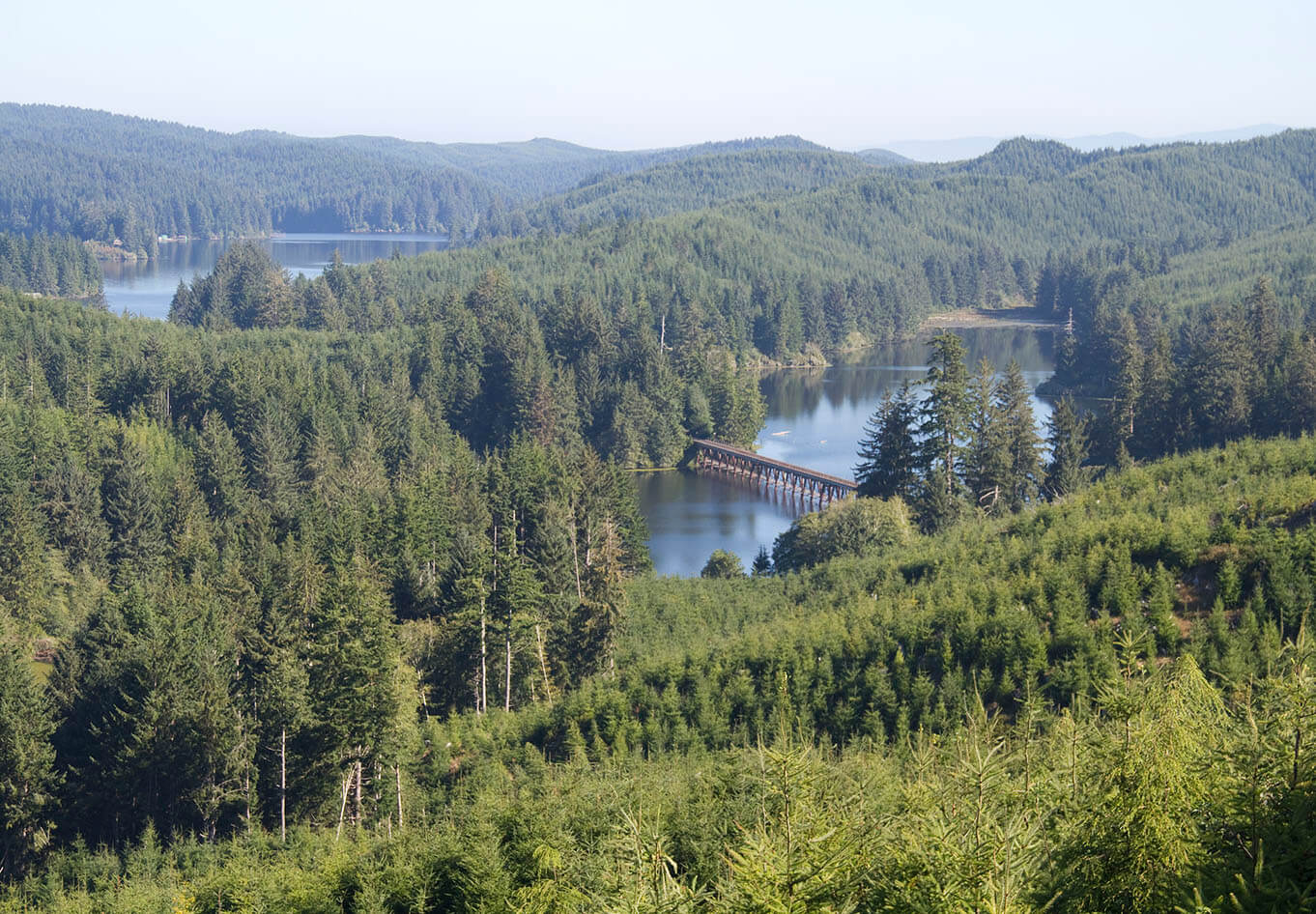 Fivemile Creek flows into Tahkenitch Lake, a coastal lake south of the town of Florence, Oregon.