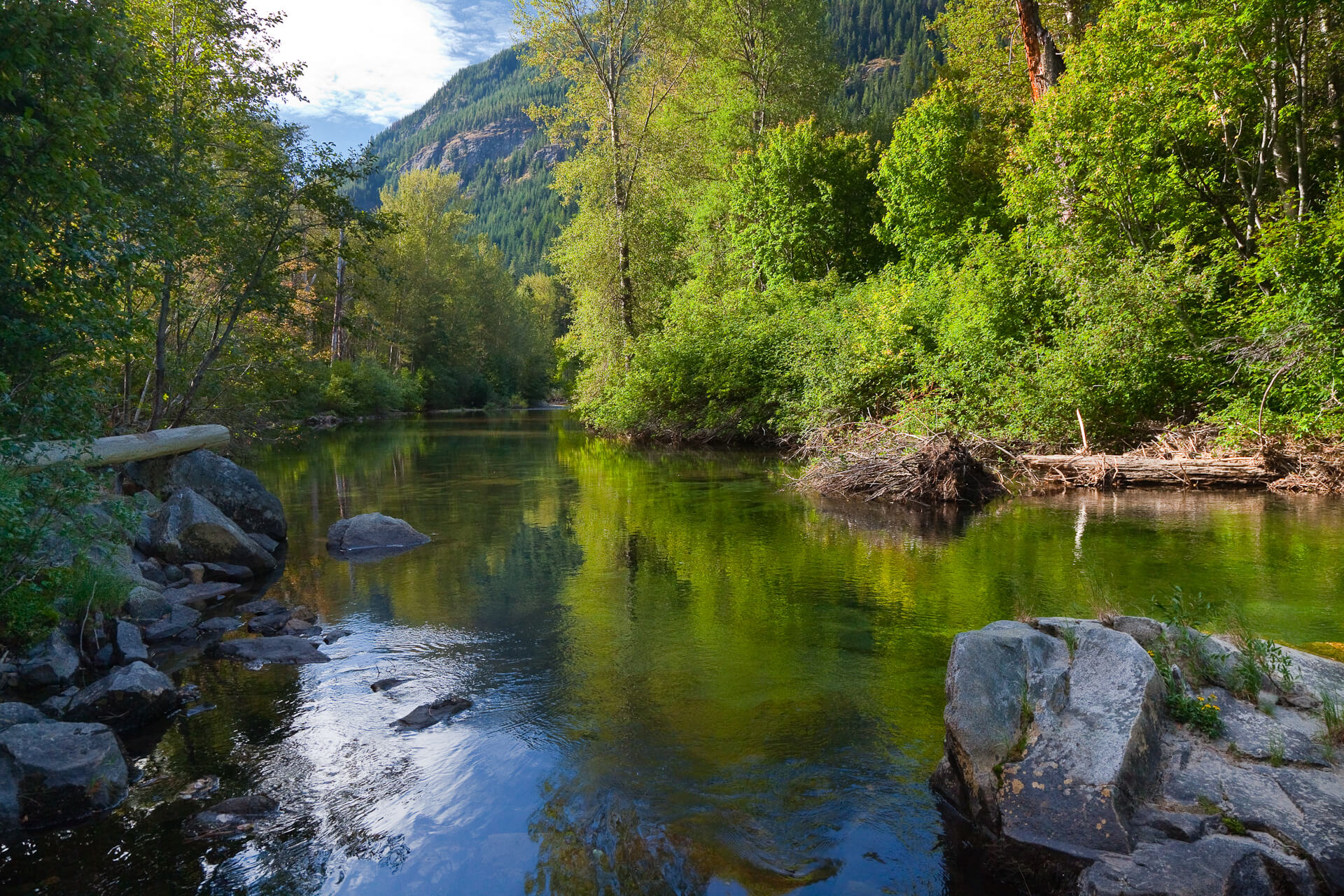 In 2012, Western Rivers Conservancy extended a lifeline to endangered bull trout when it purchased a 648-acre property above Nason Creek (pictured), a key cold-water tributary of Washington's Wenatchee River.