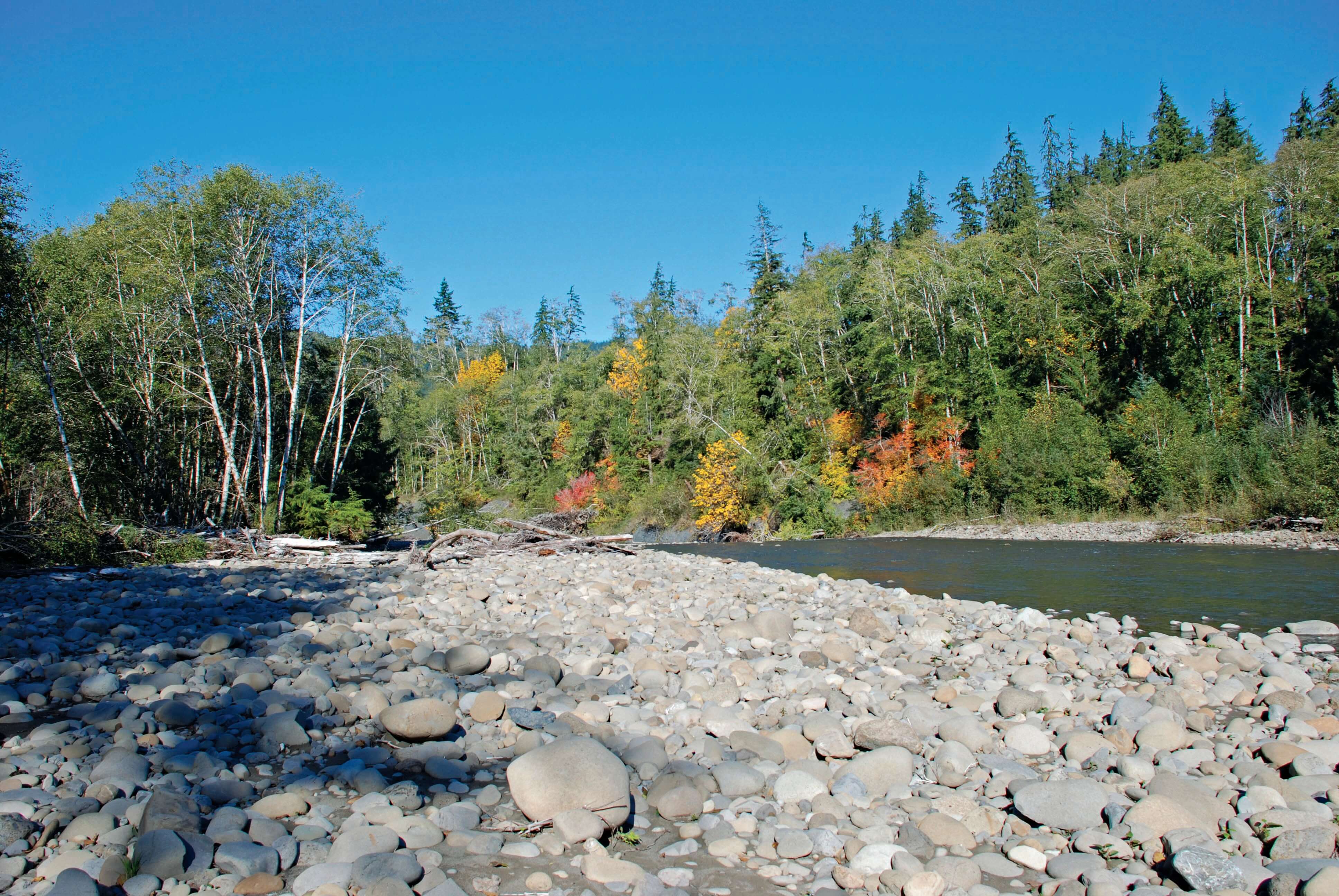 Washington's Sams River