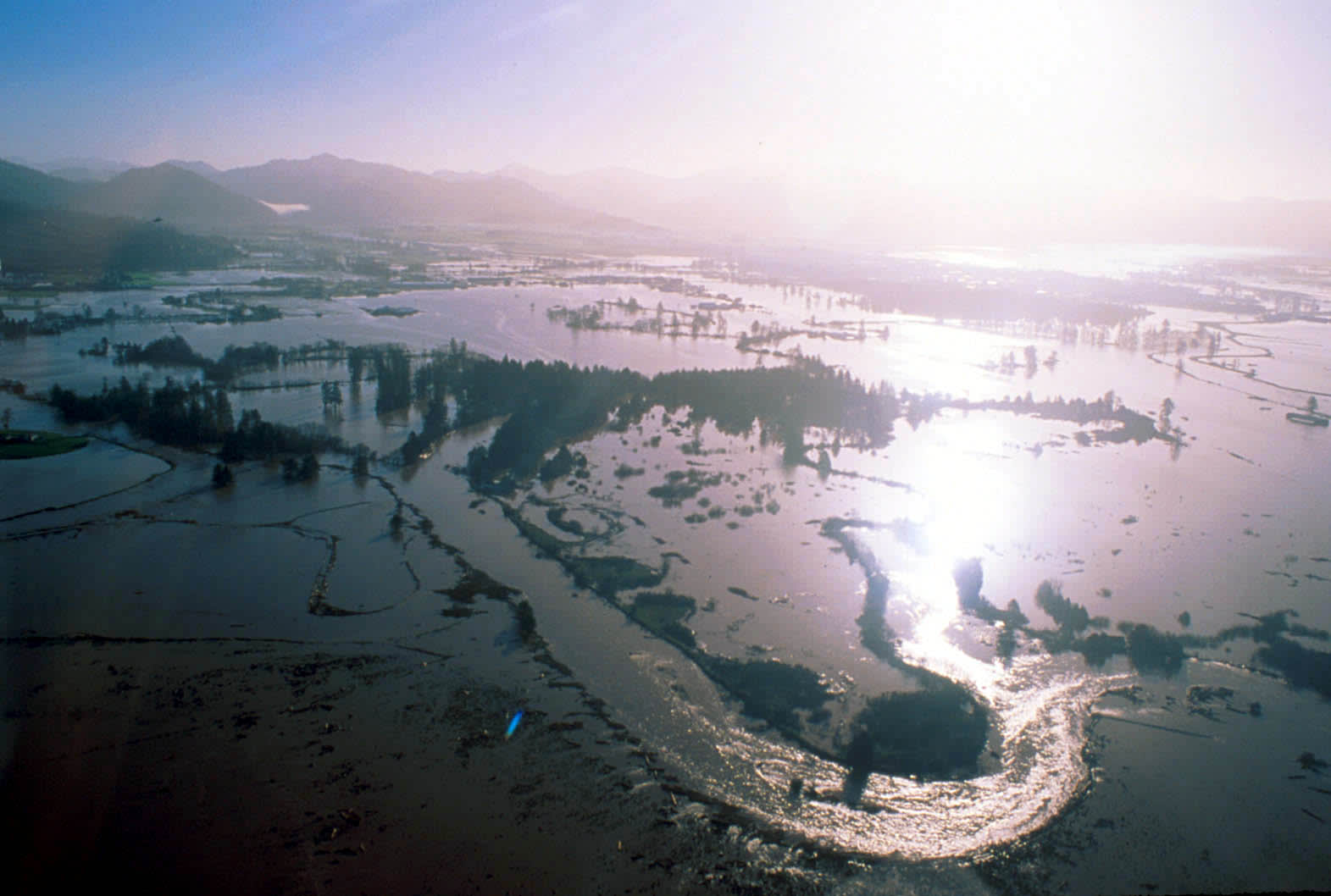 Willamette Flood