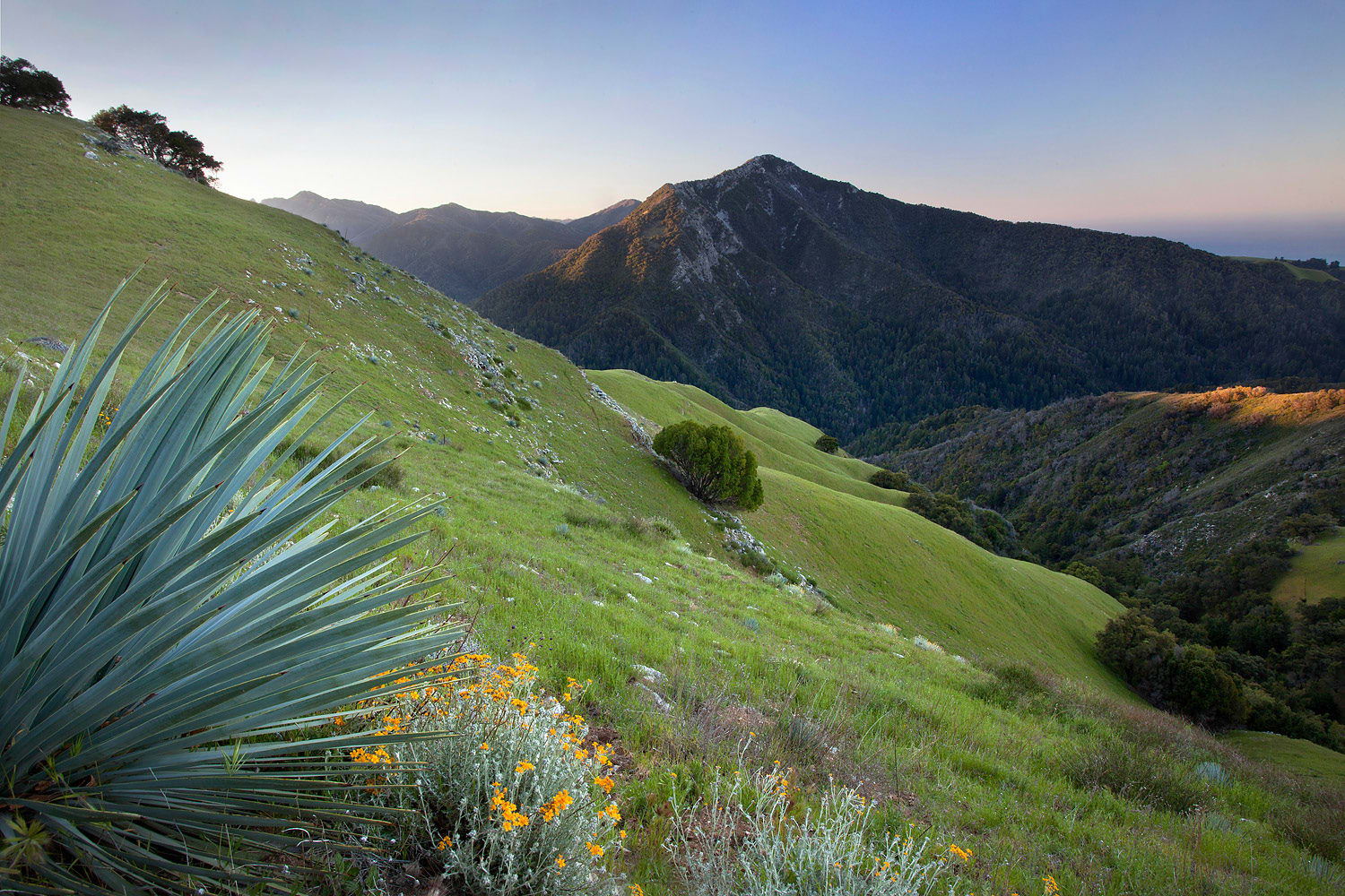 Overlooking the Little Sur River canyon on the Eagle Peak property that WRC conveyed to the Esselen Tribe.