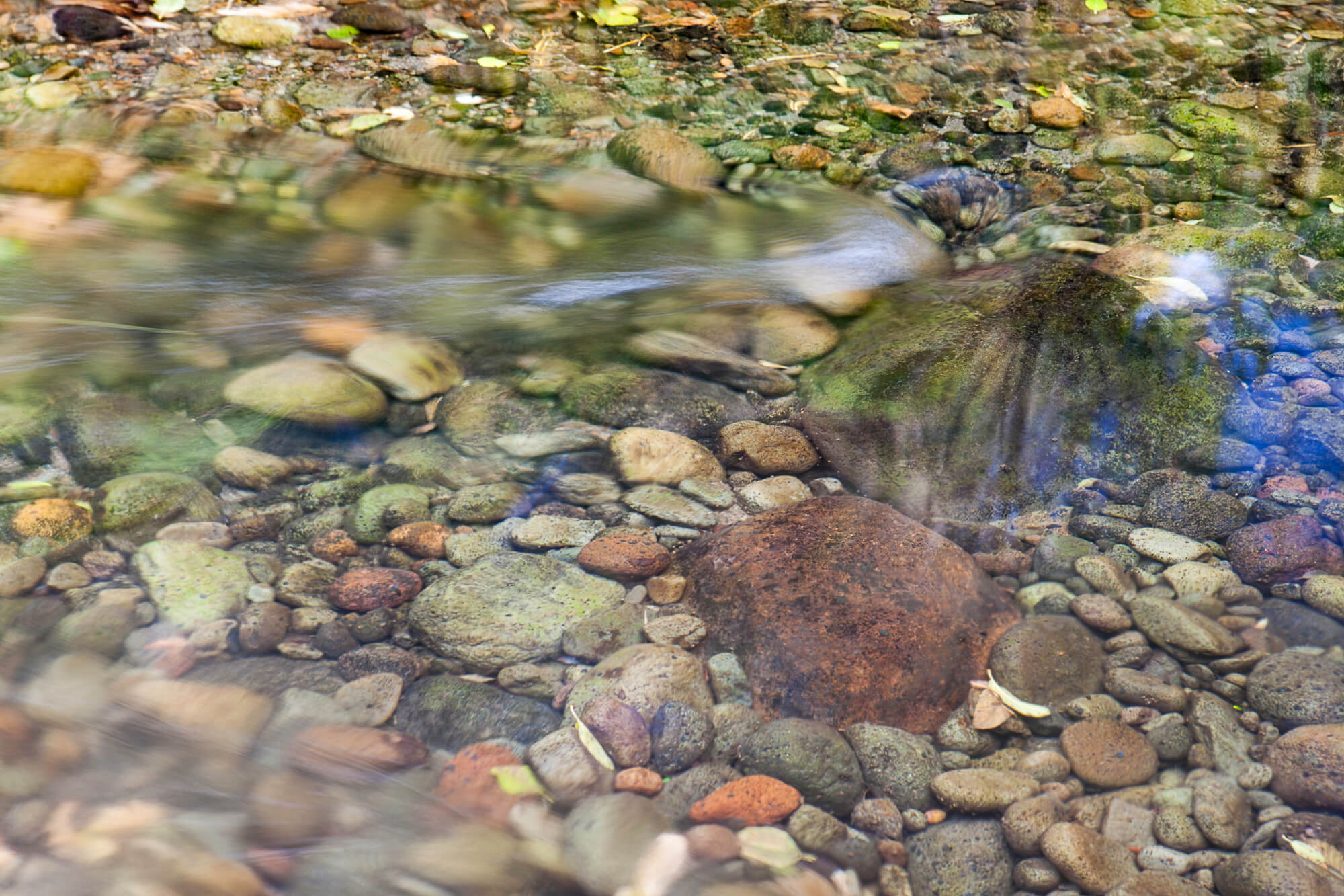 South Fork Antelope Creek