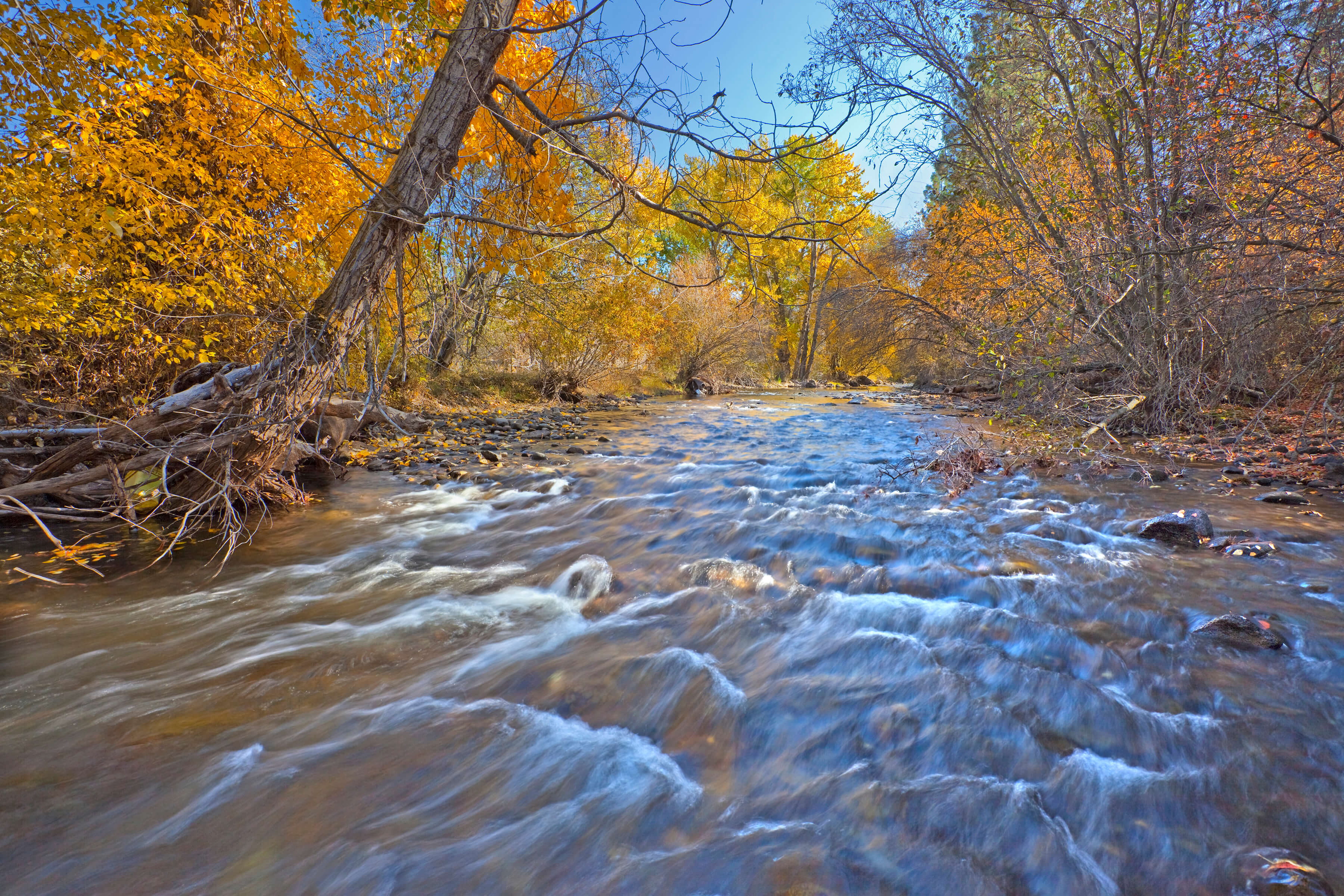 Oregon's Catherine Creek flows 32 miles from the Wallowa Mountains to the Grande Ronde River, a tributary to the Snake. Western Rivers Conservancy's work on this unique stream will improve habitat for some of the most imperiled stocks of salmon and steelhead in the Columbia River system.