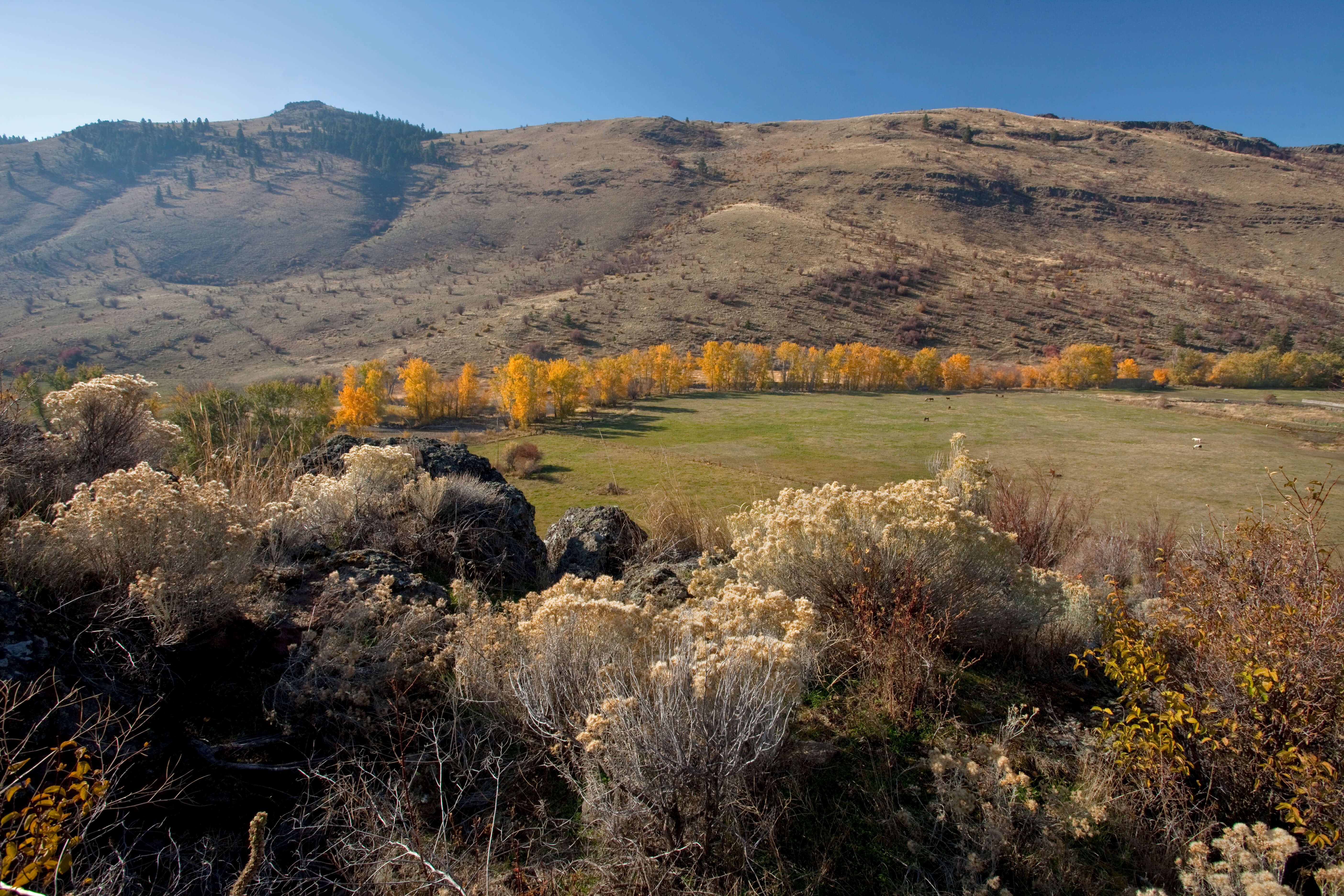 The 545-acre property where WRC is focusing its conservation efforts include frontage along both sides of Catherine Creek.