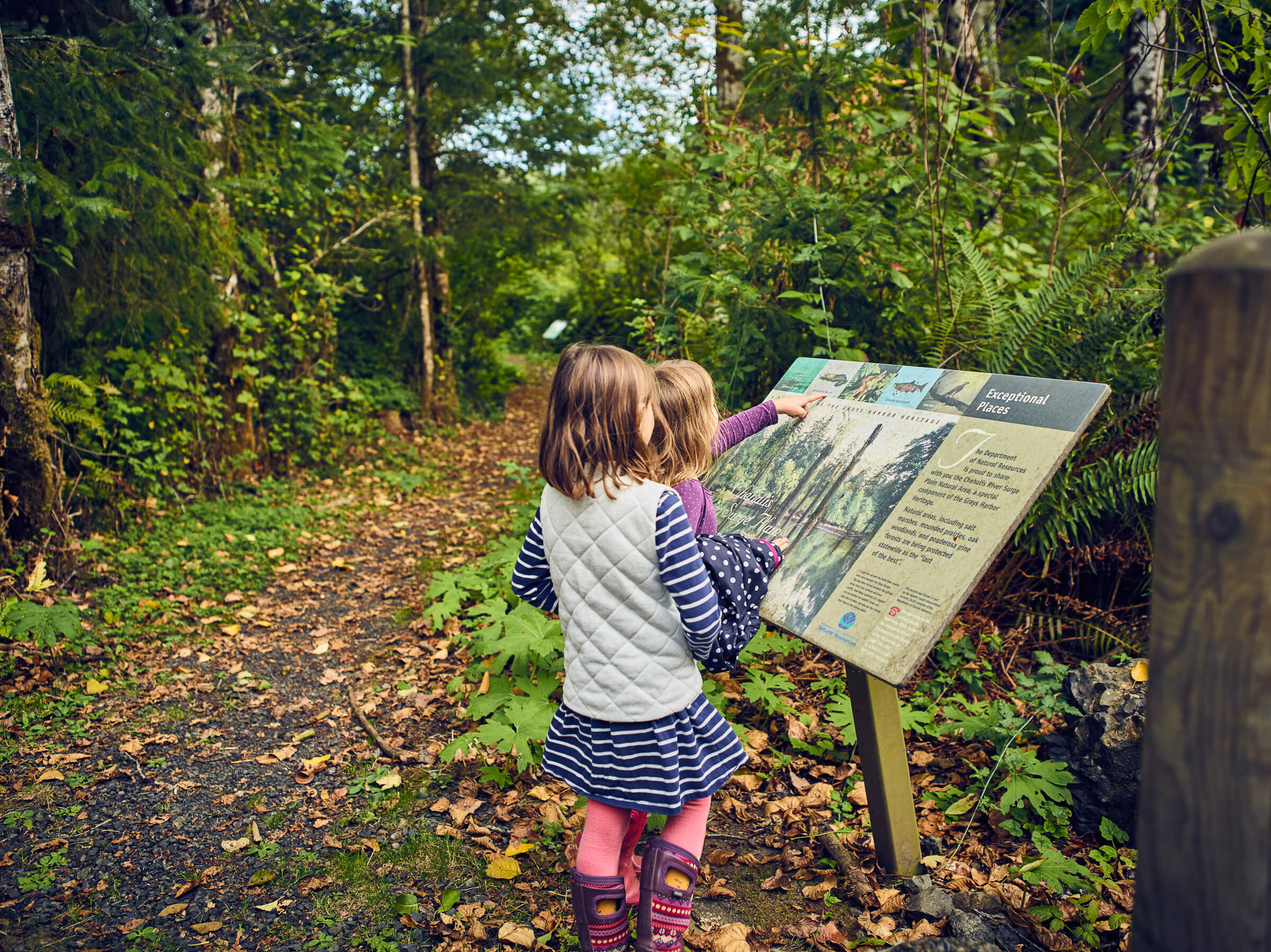 Western Rivers Conservancy's efforts to conserve 1,469 acres of the Chehalis River surge plain will enhance recreational and educational activities within the park, which is managed by Washington Department of Natural Resources.
