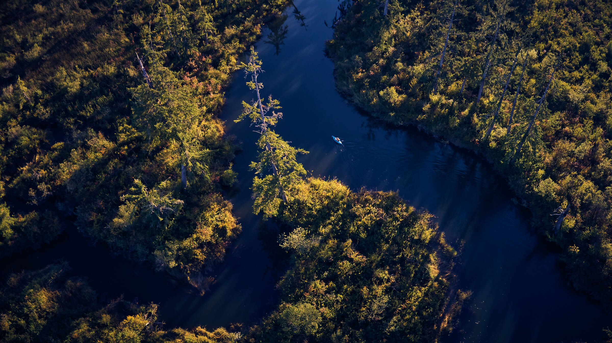 Bird's eye view of a kayaker paddling through a slough inside the Chehalis River Surge Plain Natural Area Preserve.