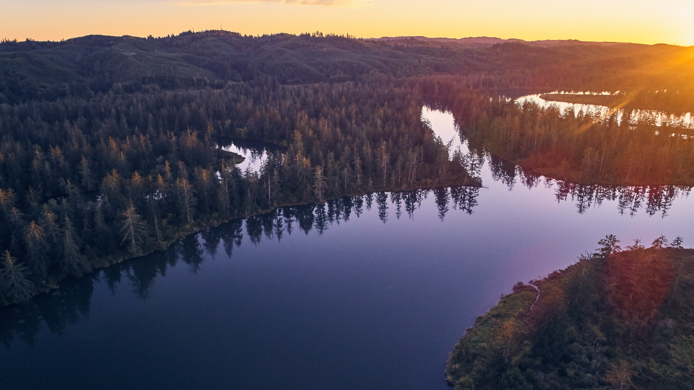 In 1989, the Washington Department of Natural Resources created the Chehalis River Surge Plain Natural Area Preserve to protect this important ecosystem. Yet, for almost 30 years, the preserve has been incomplete, with nearly 1,500 acres at the heart of it privately owned and unprotected. This changed when WRC helped conserve 1,469 acres of land in partnership with WDNR and Weyerhaeuser, completing the Natural Area Preserve.
