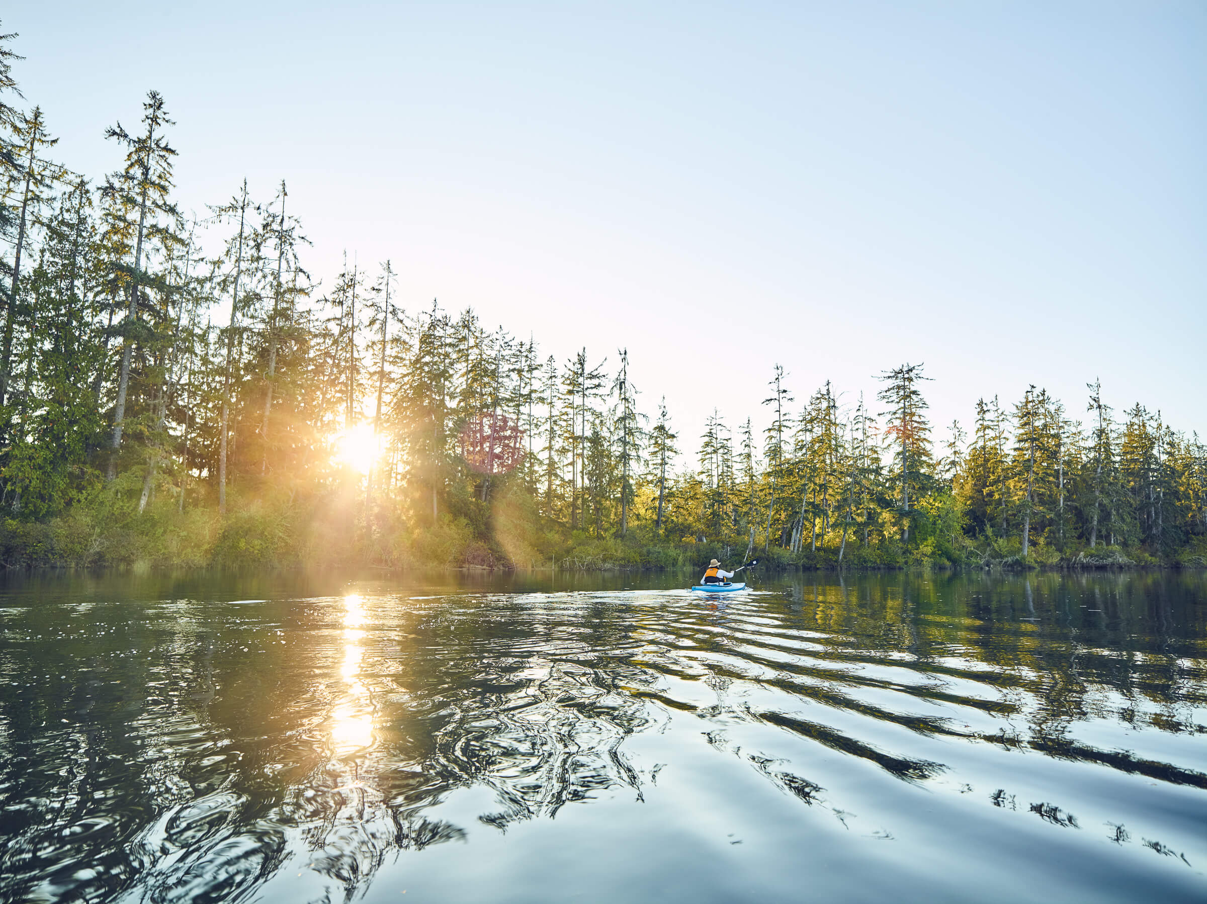 The surge plain is open to the public, and canoeing and kayaking are popular activities. WRC's efforts will improve recreational access for both paddlers and hikers alike.