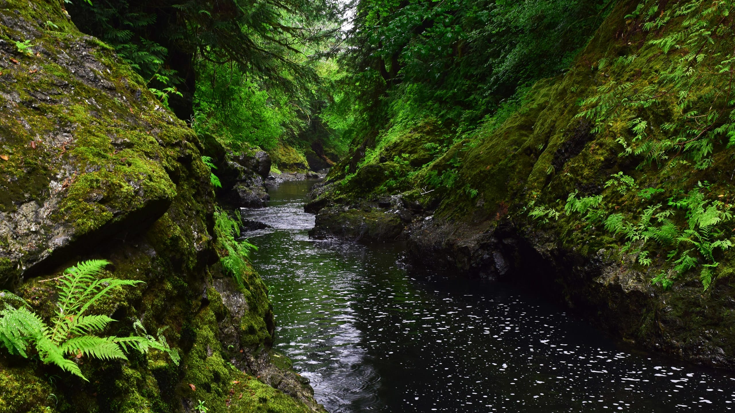 Hoko River, Washington