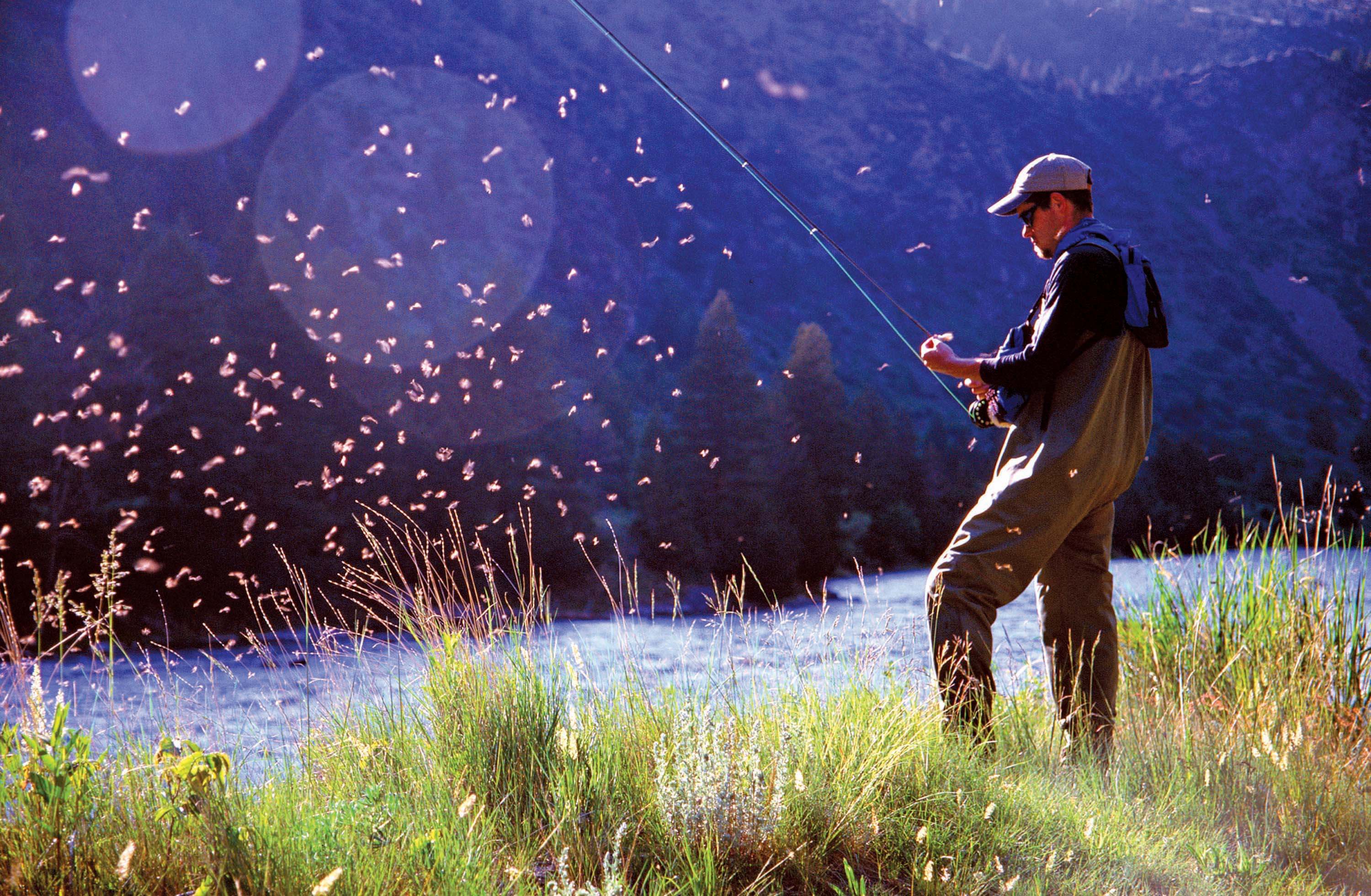 The Madison is famous for its hatches, which drive fish--and anglers--equally wild. Western Rivers Conservancy ensured the public would continue to have access to this prime stretch of fly water, and that development would never threaten fish habitat.