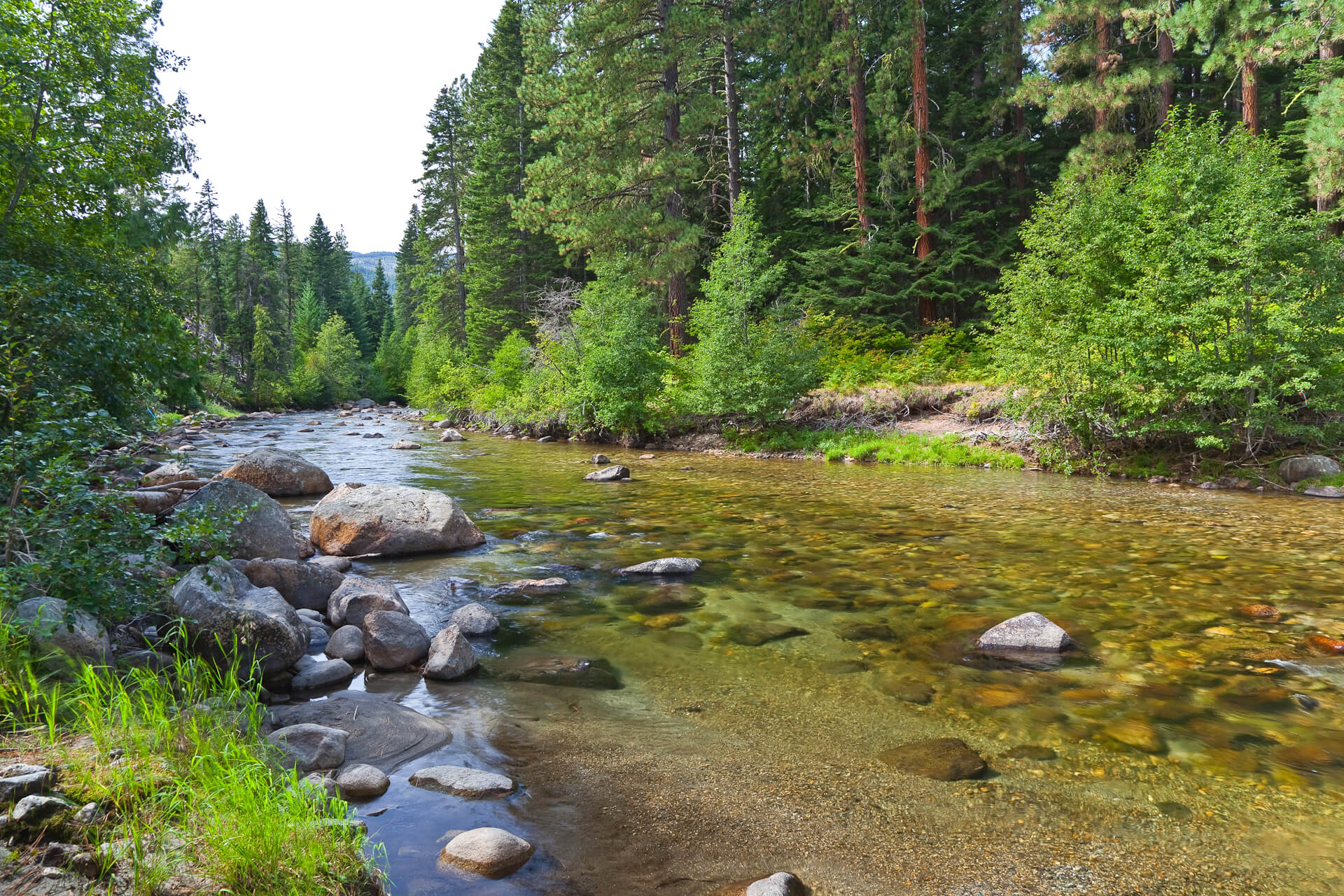 Conserving the Nason Ridge property will protect two miles of Nason Creek, a critical tributary to the Wenatchee River.