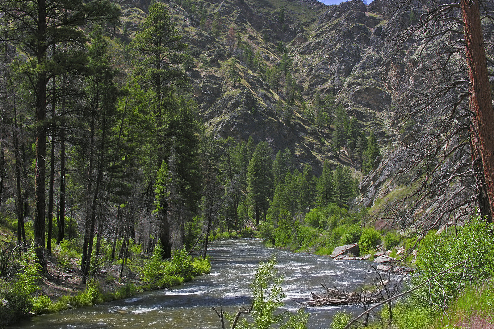 Panther Creek, Idaho