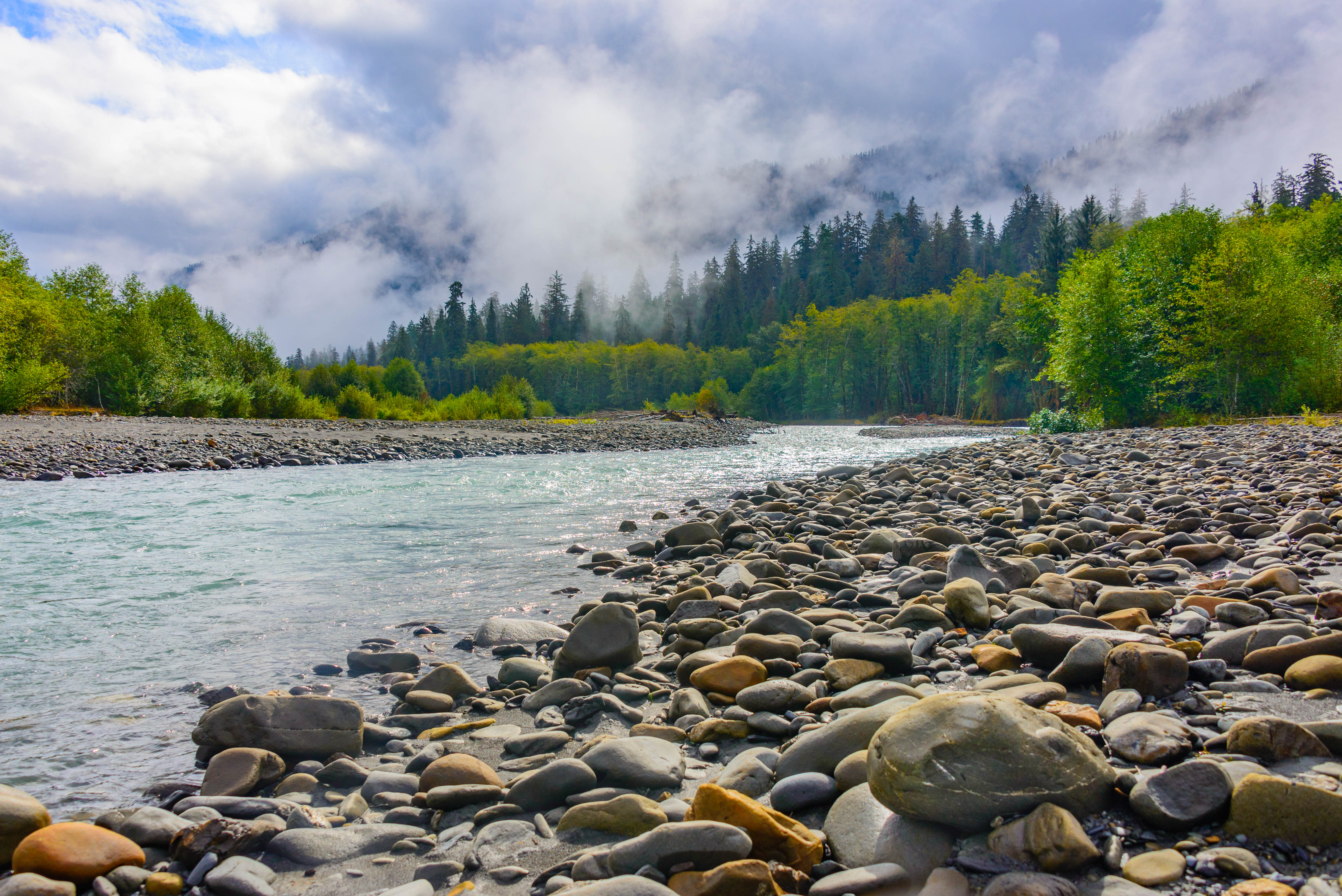Western Rivers Conservancy's work on the Sams River protected vital fish habitat within the Queets River system, one of the Olympic Peninsula's most important salmon and steelhead rivers.