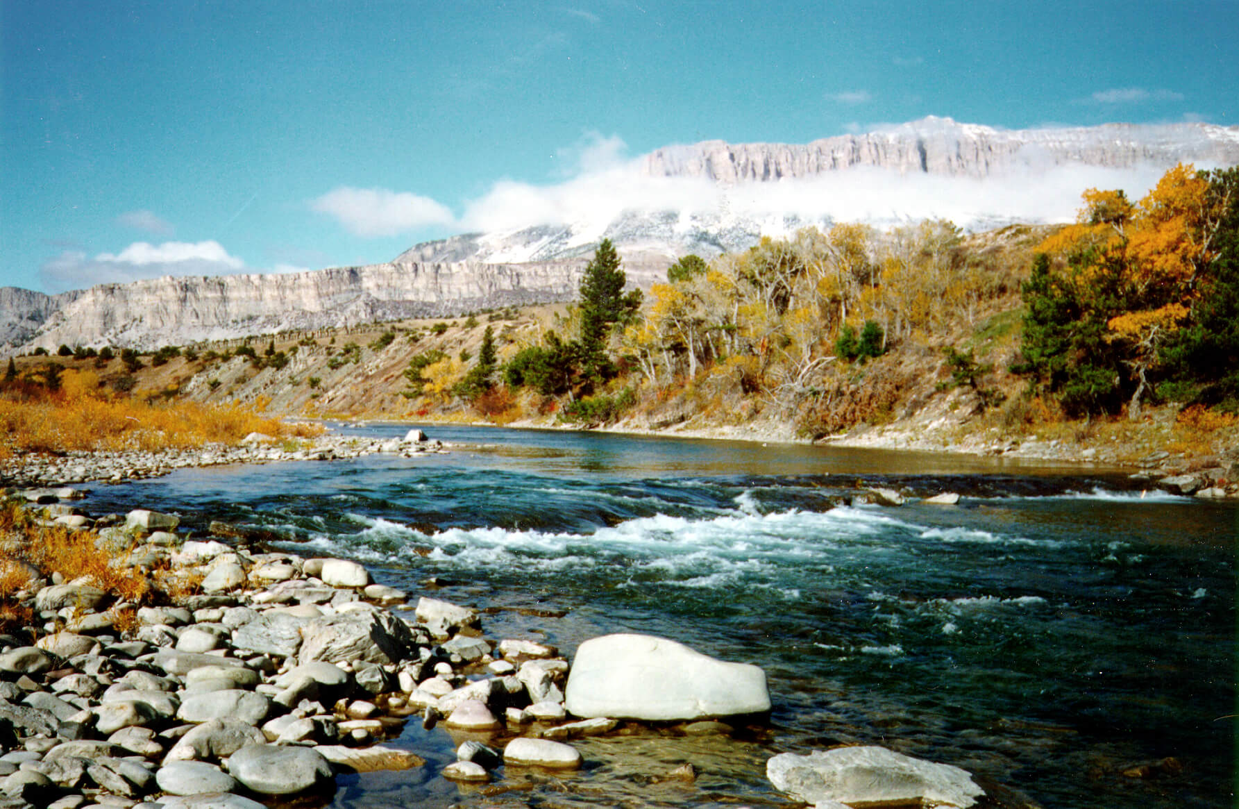In 2000, Western Rivers Conservancy forever protected a three mile reach of the wild Sun River and over 1,200 acres of wildlife habitat at the base of Montana's Rocky Mountain Front.