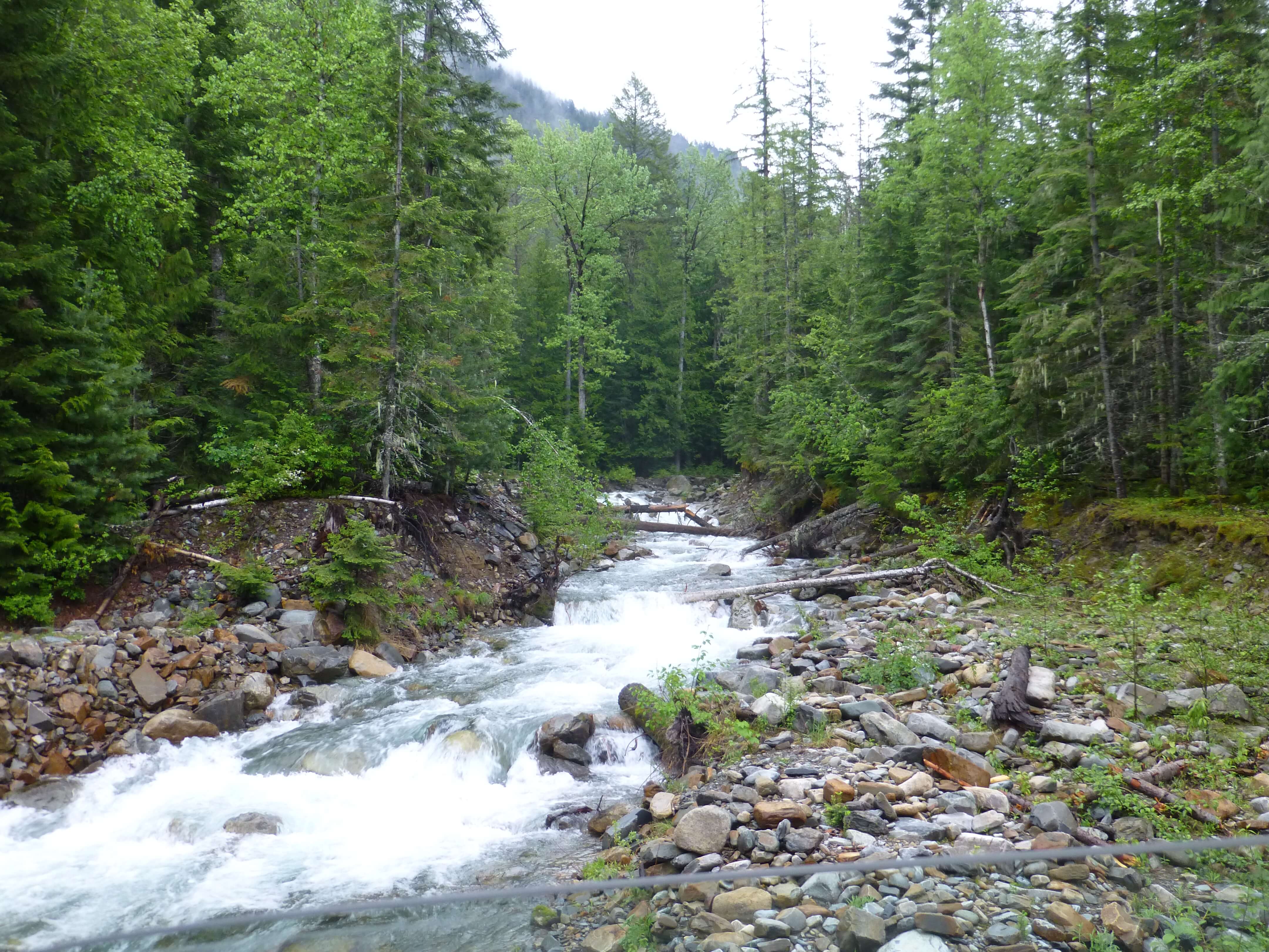Trestle Creek