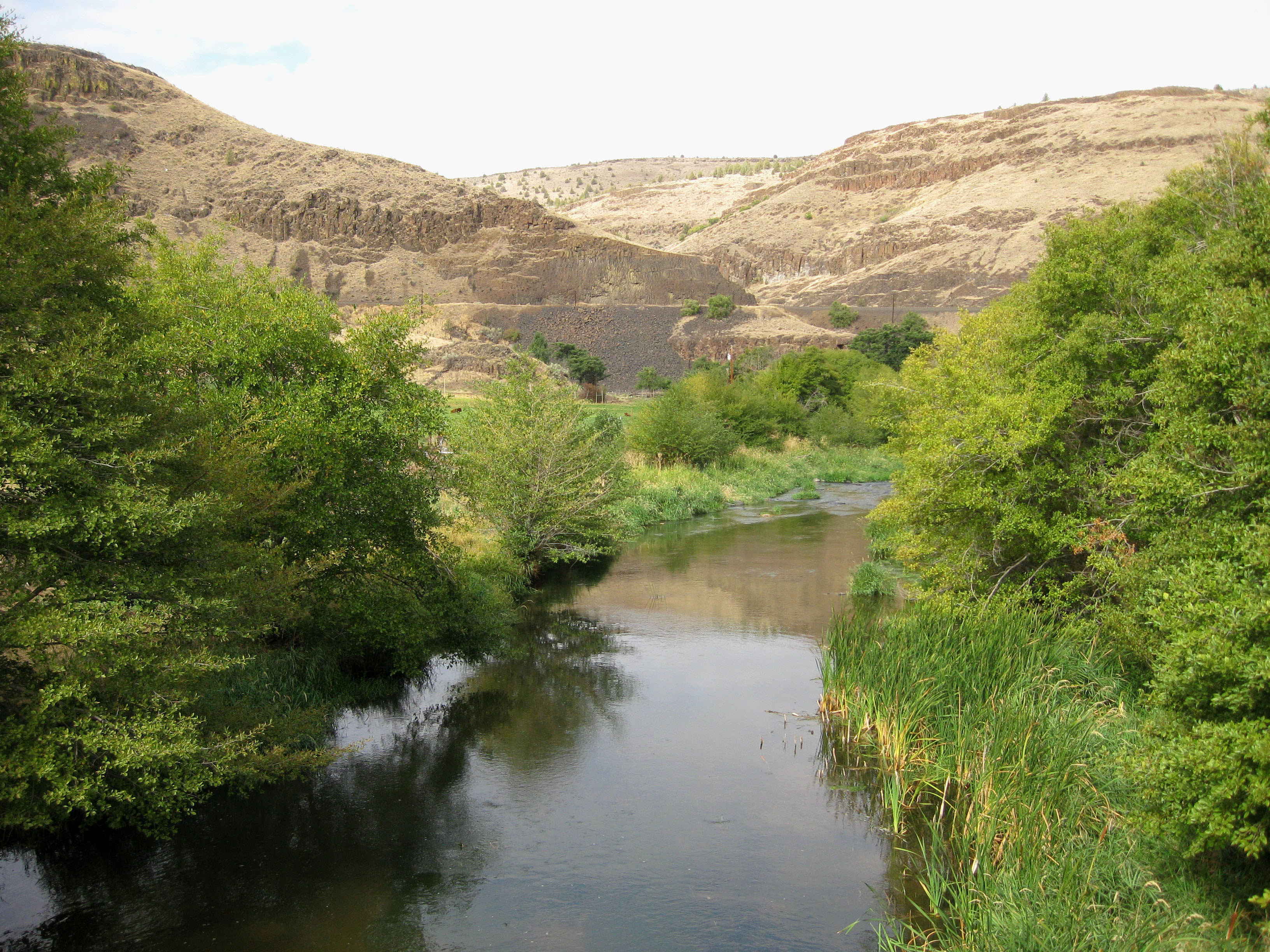 In 2000, WRC protected 3.7 miles of Trout Creek, one of the most important steelhead spawning stream tributaries to the Deschutes River.