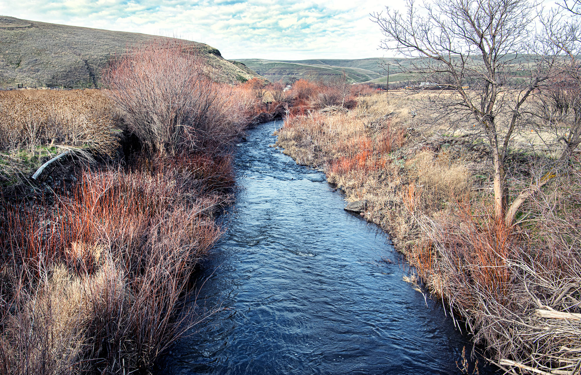 Birch Creek