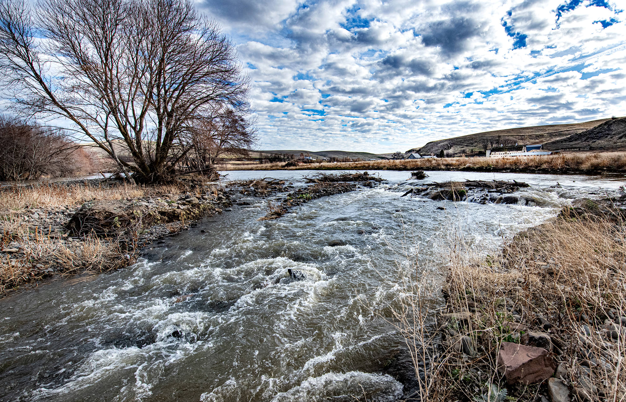 Birch Creek