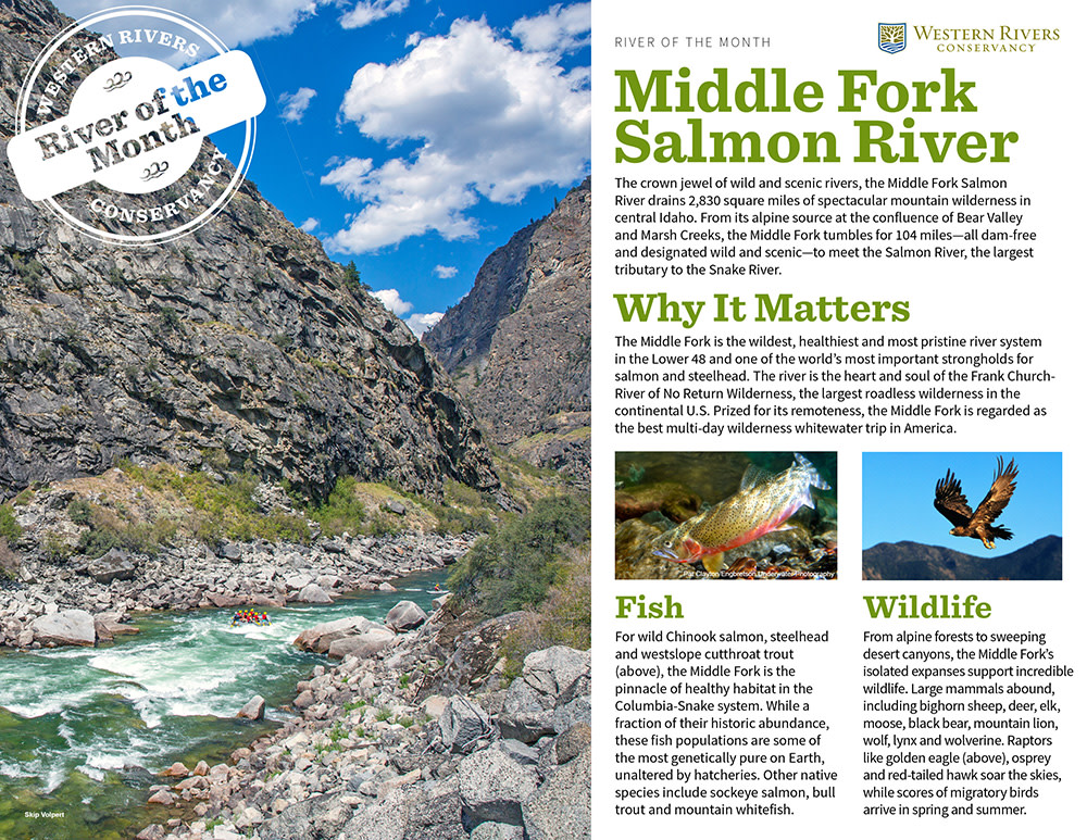 Middle Fork Salmon River Western Rivers Conservancy