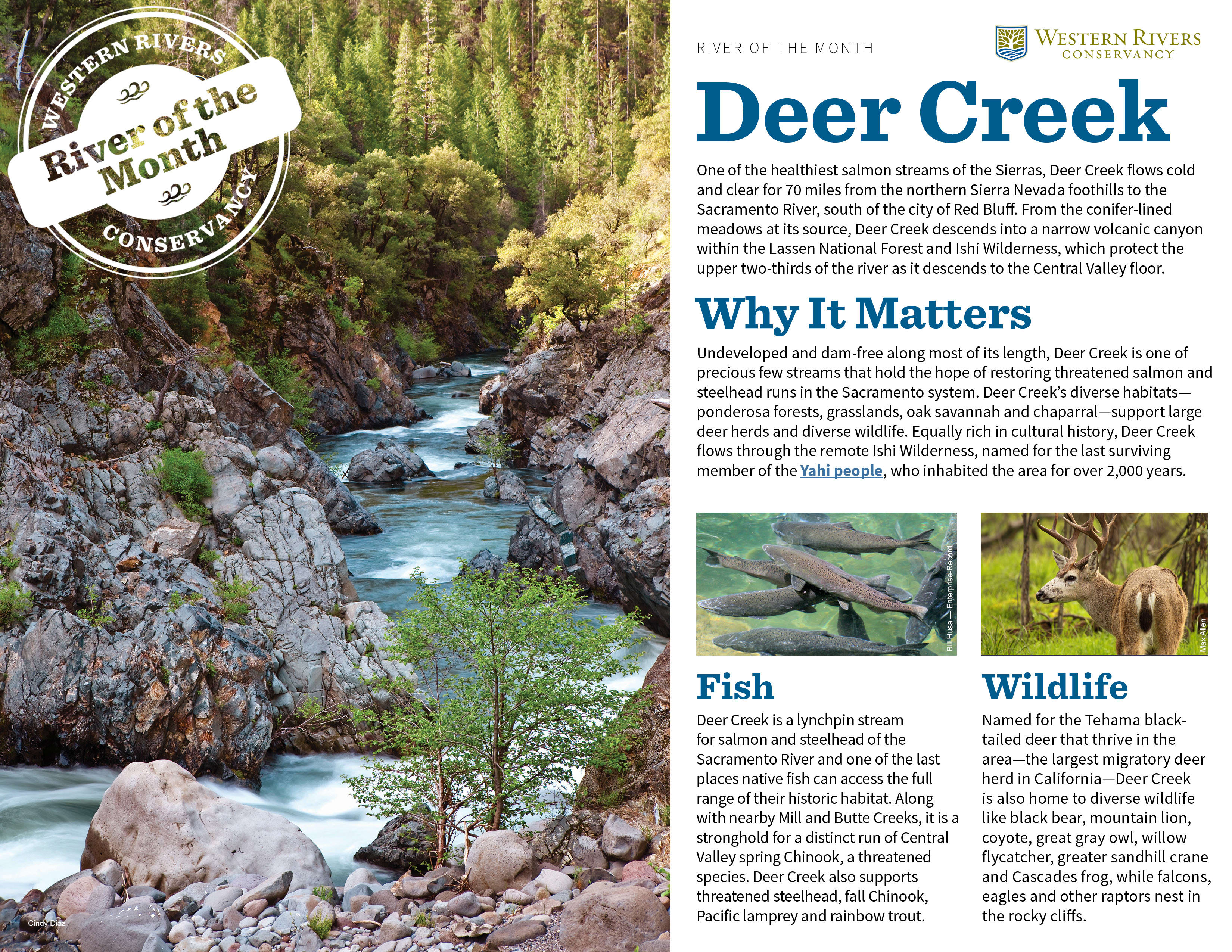 Deer Creek Western Rivers Conservancy