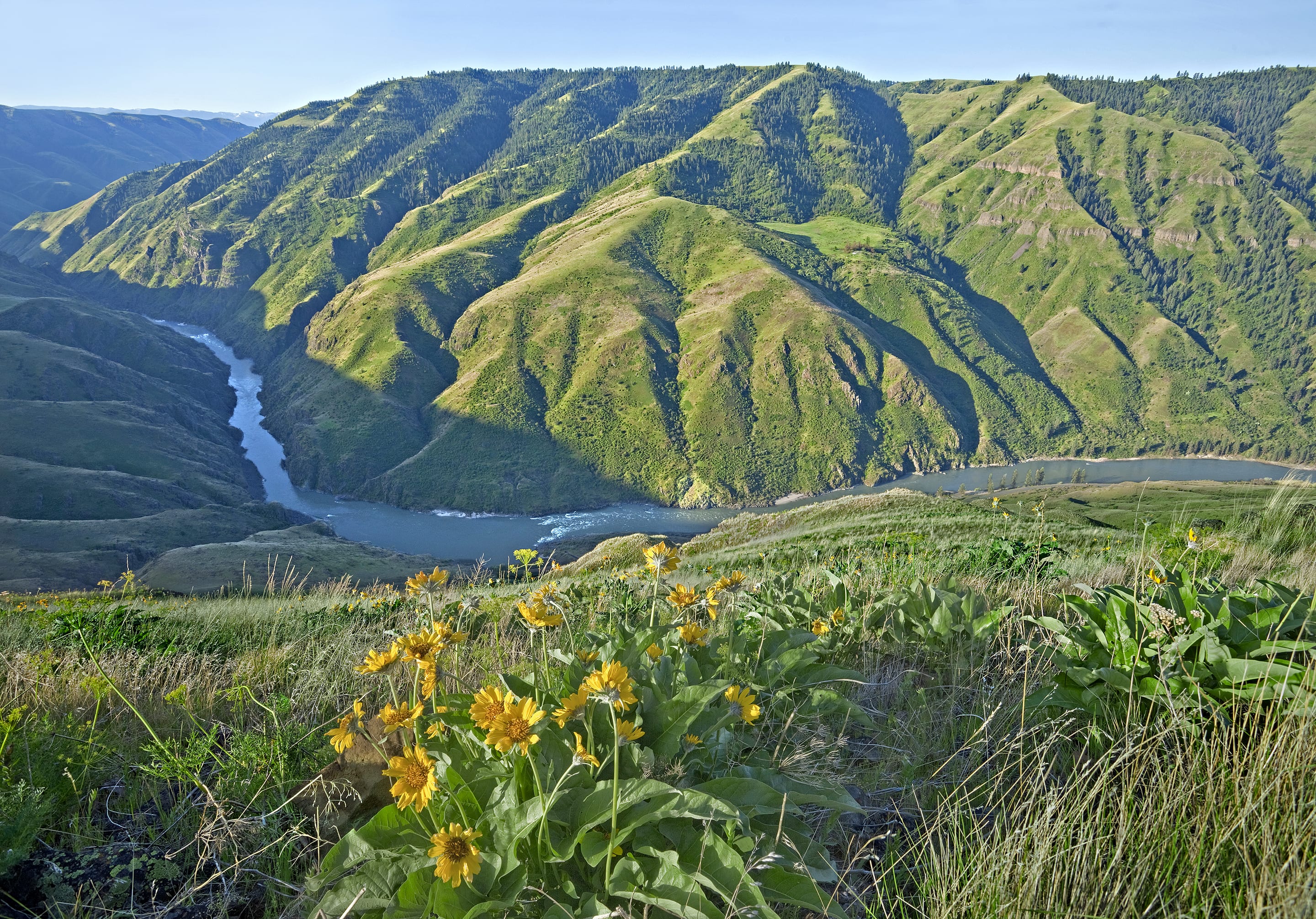 Salmon River Western Rivers Conservancy 0448