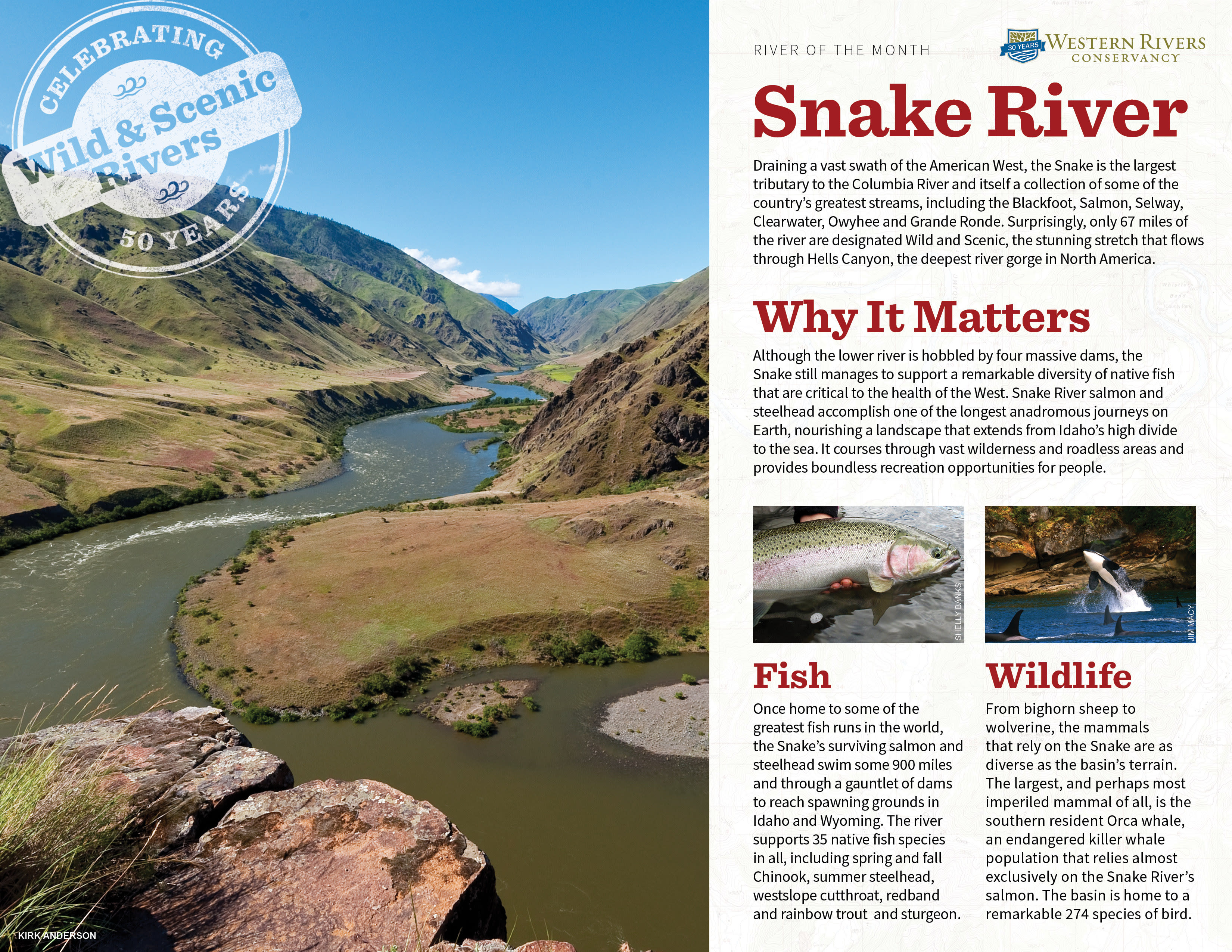 Snake River Western Rivers Conservancy