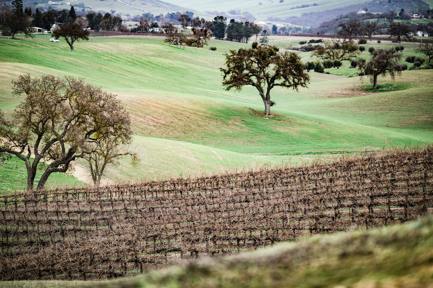 Creston Western Heritage Realty