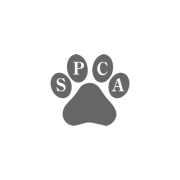 SPCA's Paws at the Mall