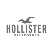 Hollister Co.