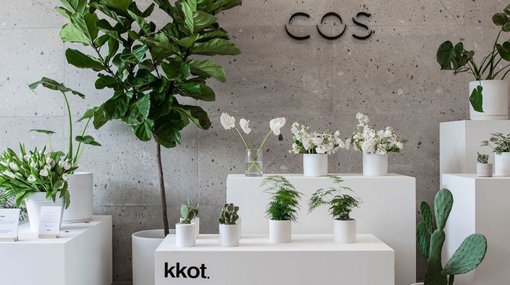 KKOT Floral Pop-Up KKOT Floral Pop-Up