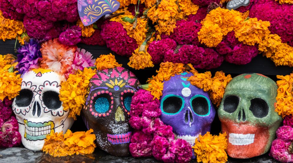Dia De Los Muertos Celebration Dia De Los Muertos Celebration