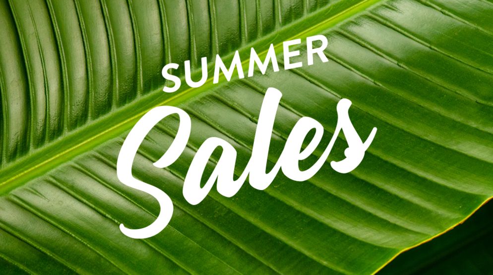 Summer Sales Summer Sales